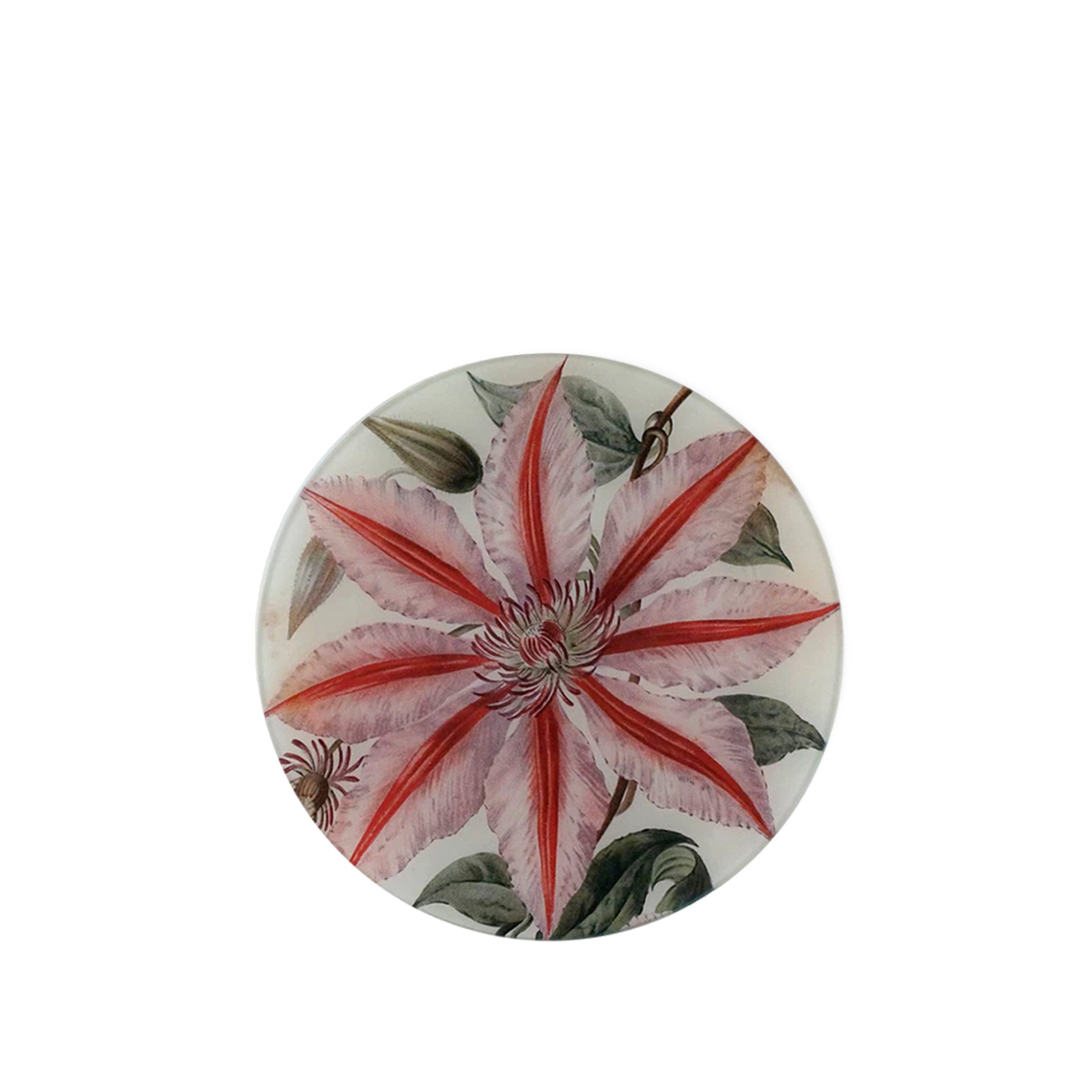 John Derian 'Nelly Moses' Round Plate, 25cm