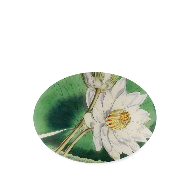 John Derian 'Nymphaea' Oval Platter, 35.5 x 48 cm
