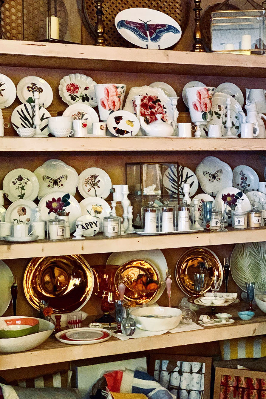 Dragonfly Soup Plate by Astier de Villatte