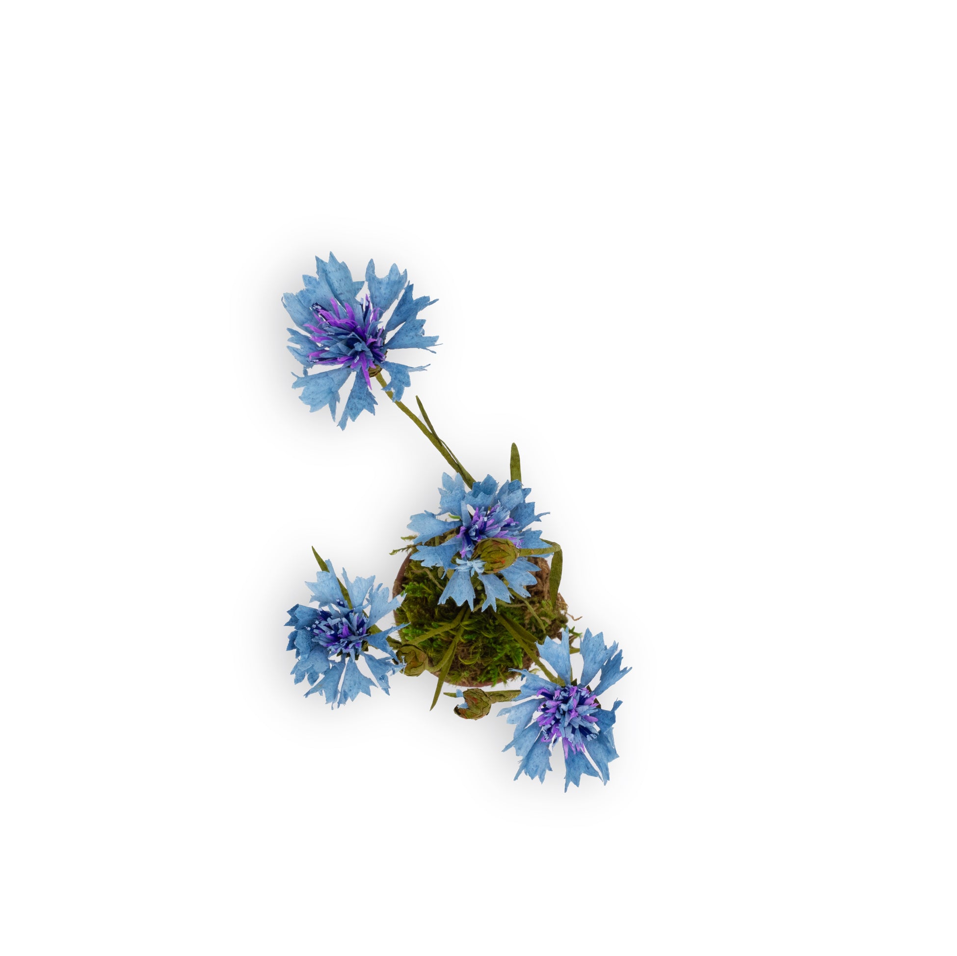 Blue Cornflower Paper Flowers & Clay Pot
