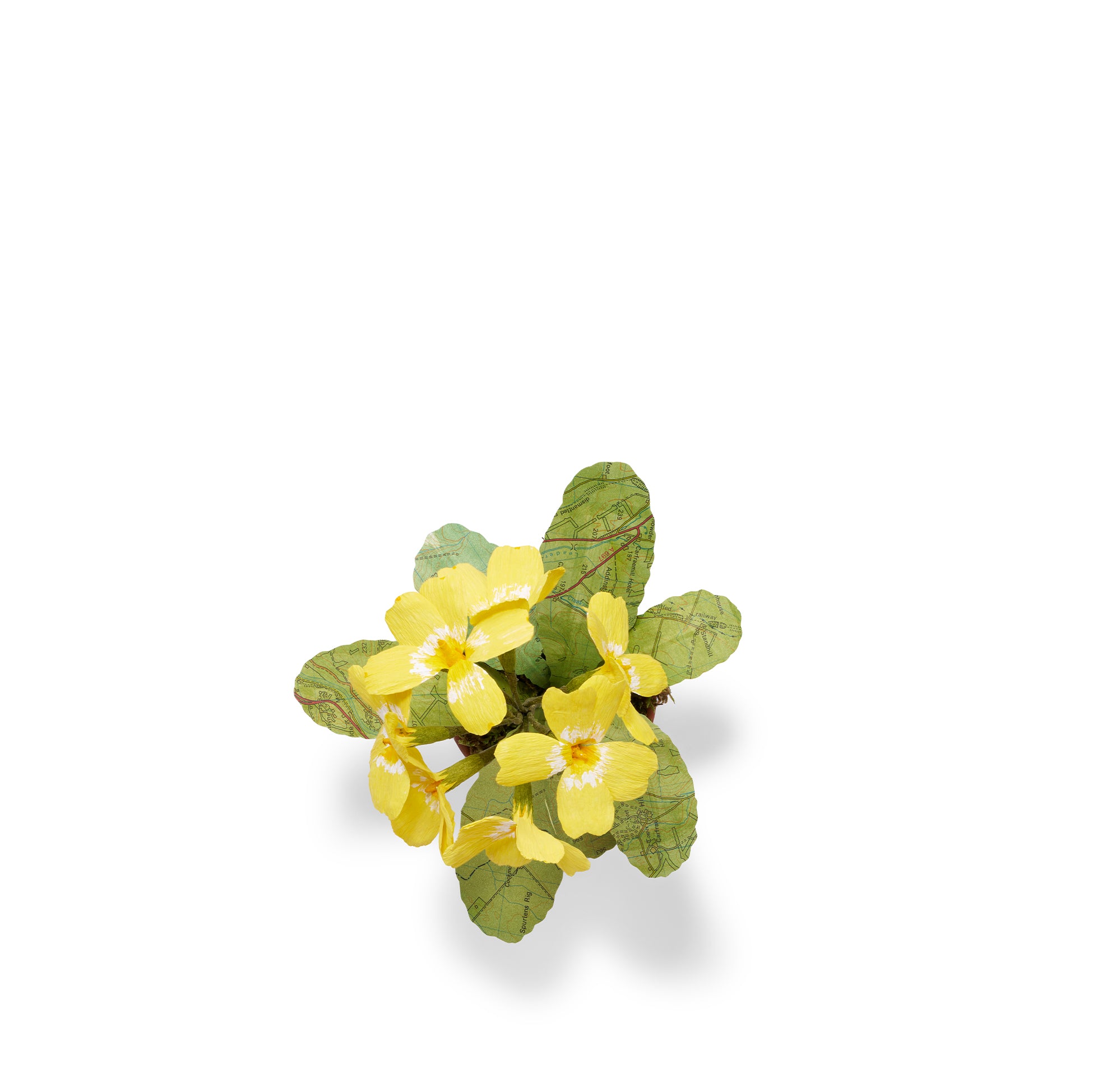 Yellow Primula Paper Flowers & Clay Pot
