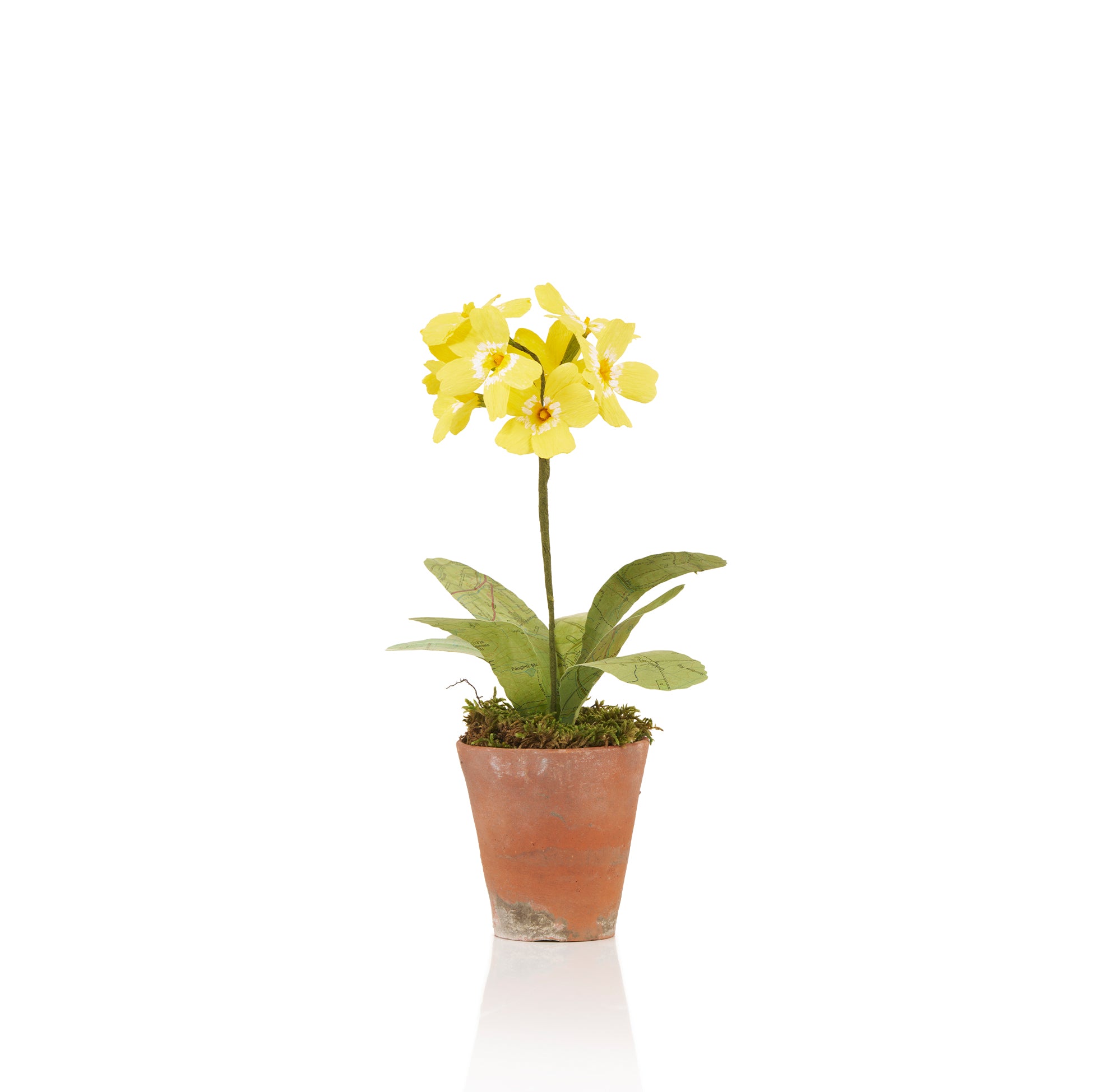 Yellow Primula Paper Flowers & Clay Pot