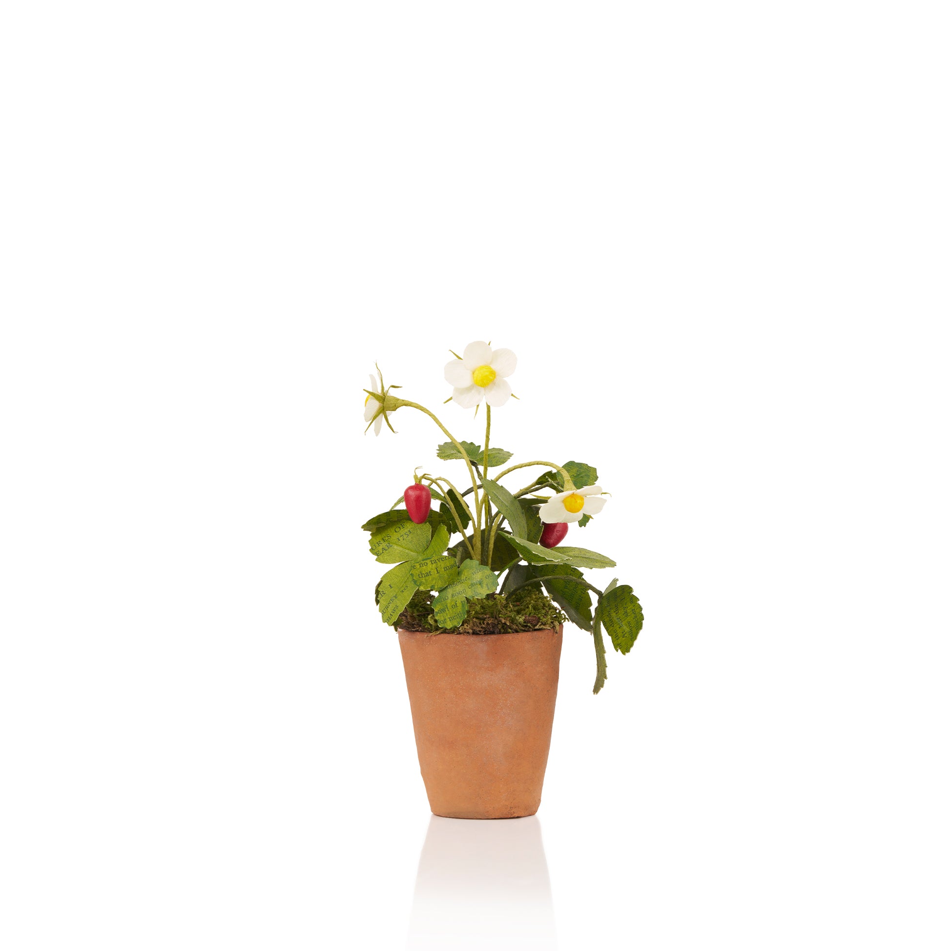Strawberries Paper Flowers & Clay Pot