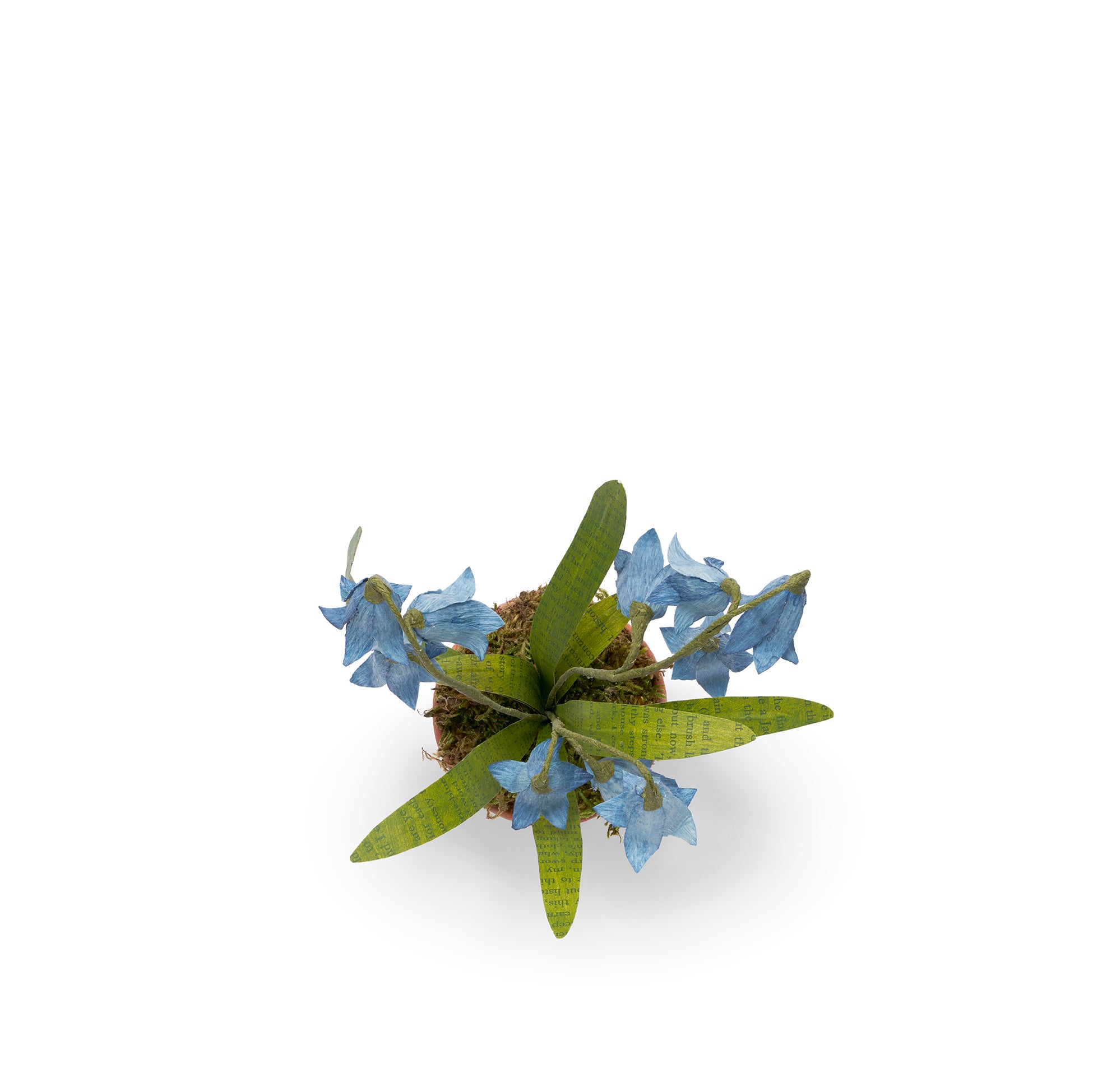 Bluebells Paper Flowers & Clay Pot