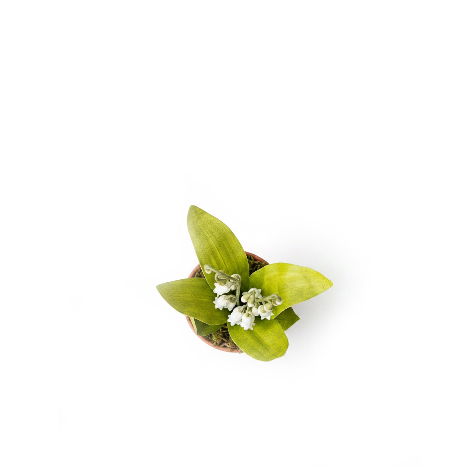 Lily of the Valley Paper Flowers & Clay Pot