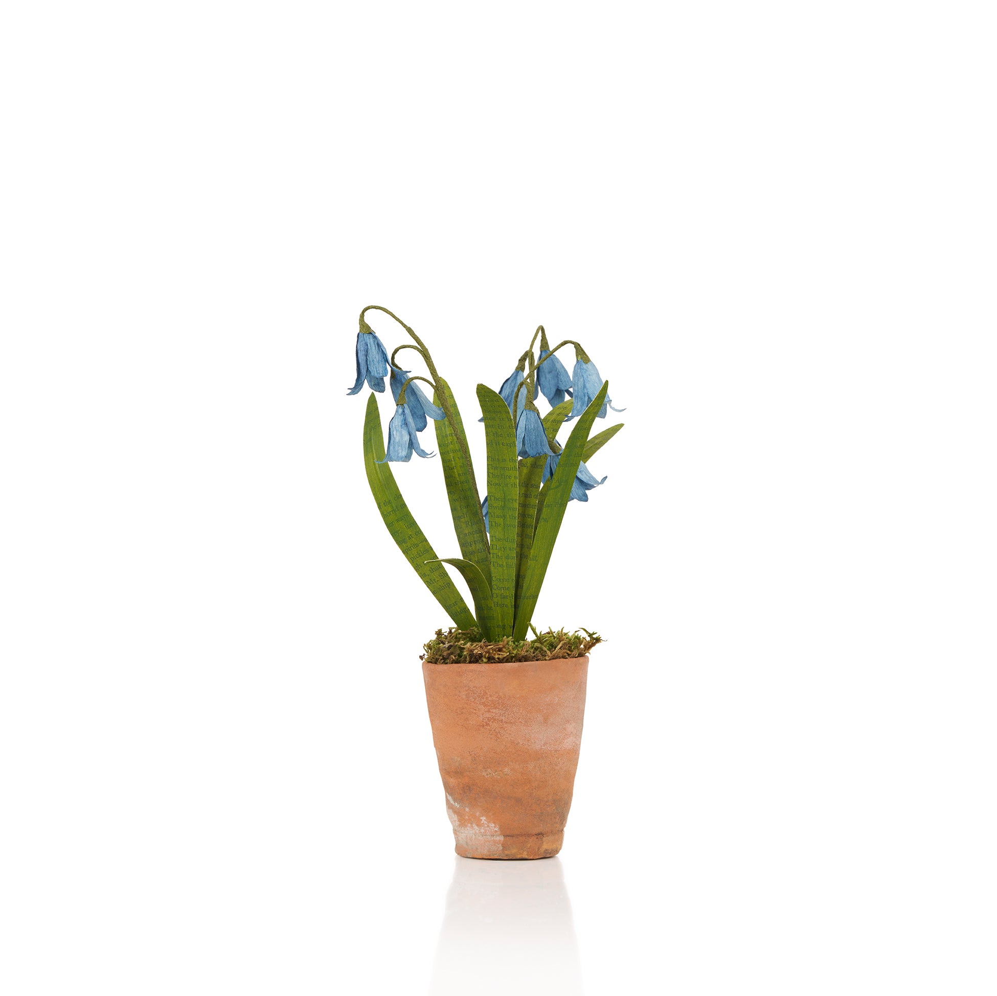 Bluebells Paper Flowers & Clay Pot