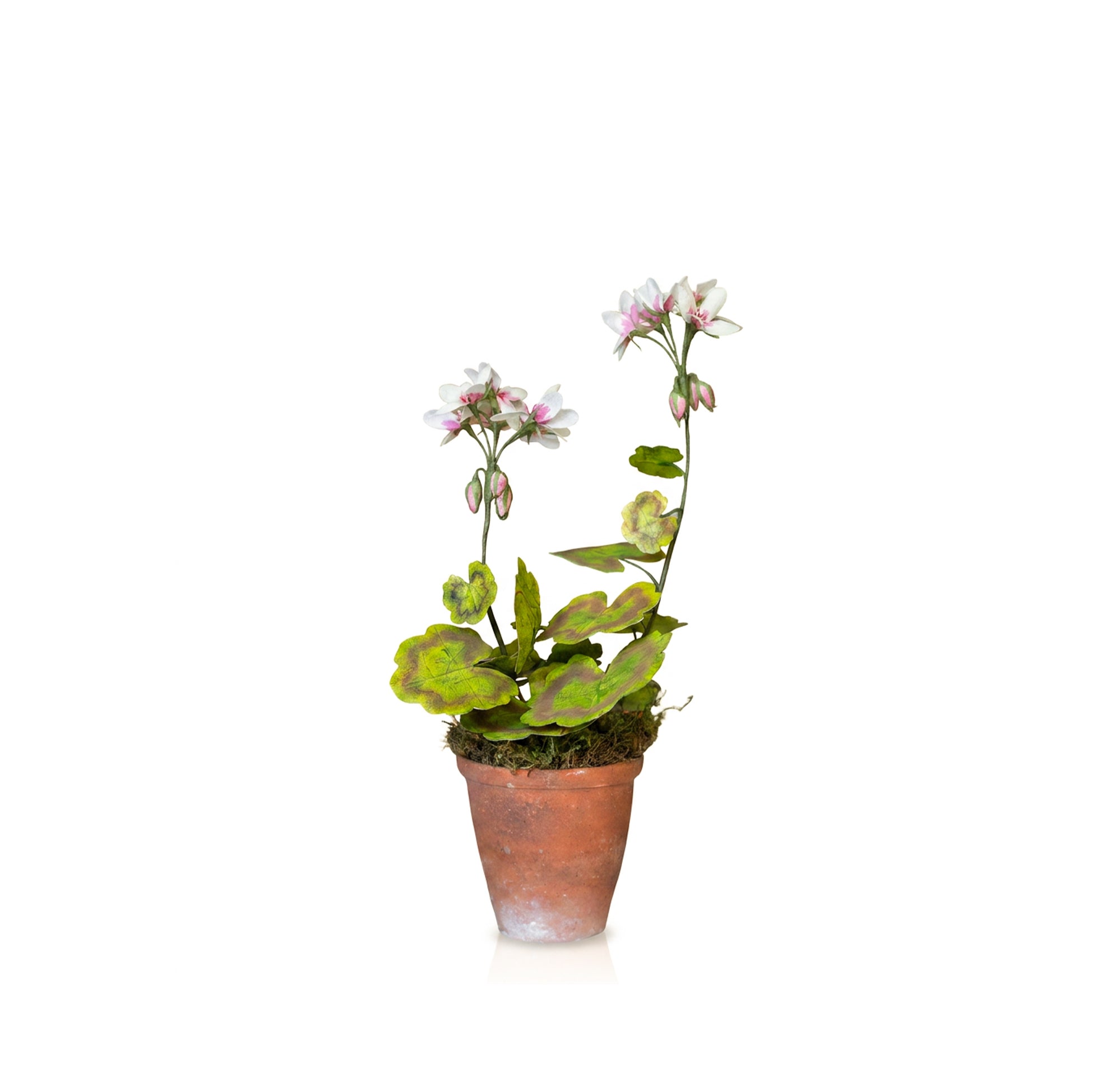Light Pink Geranium Paper Flowers & Clay Pot