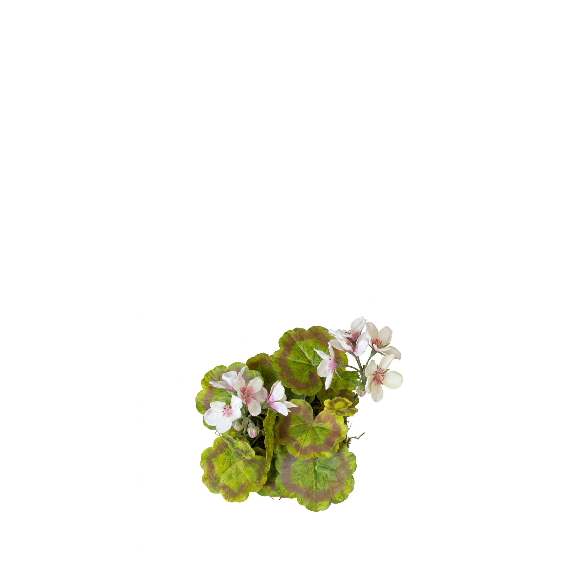 Light Pink Geranium Paper Flowers & Clay Pot