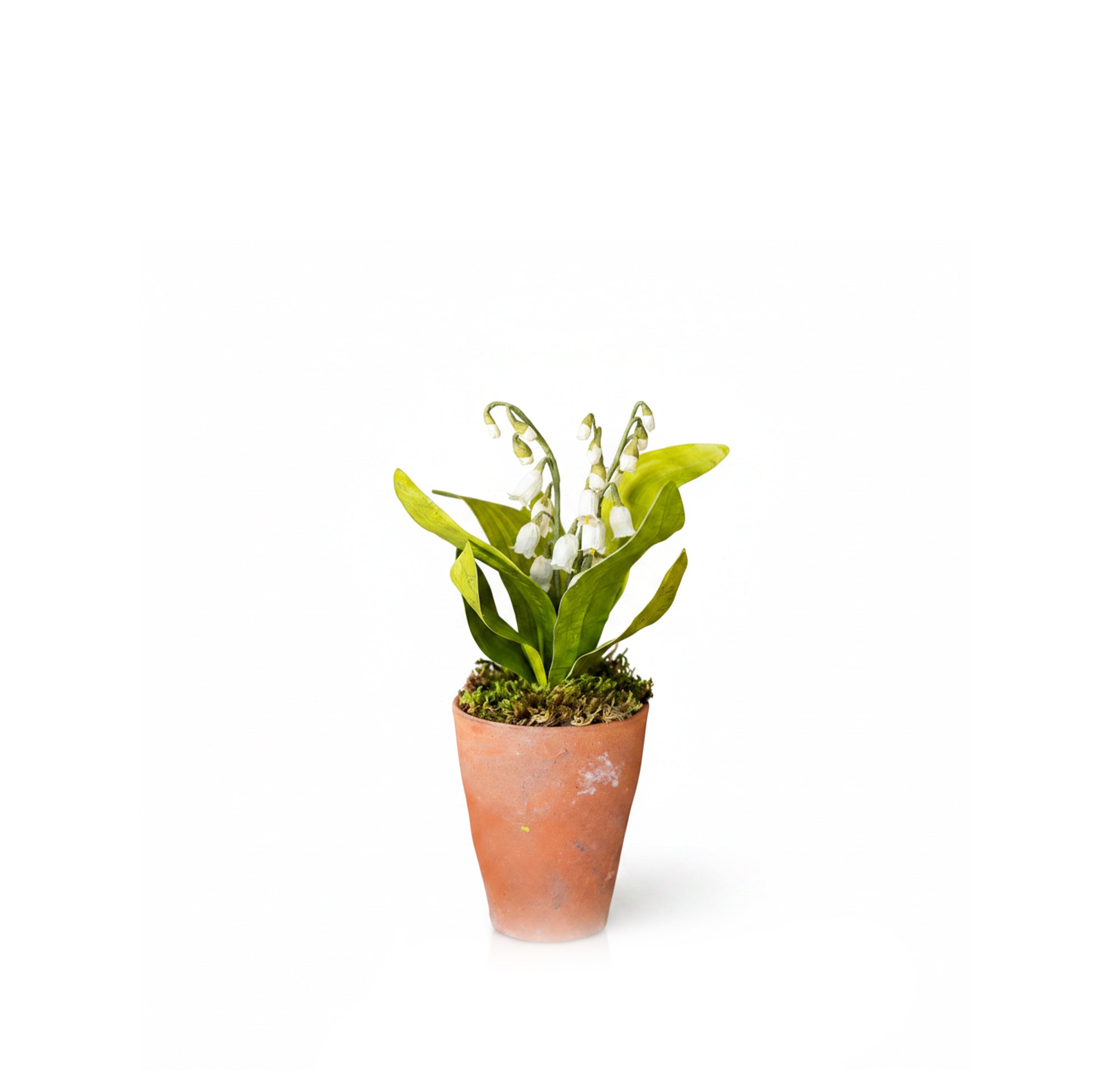 Lily of the Valley Paper Flowers & Clay Pot