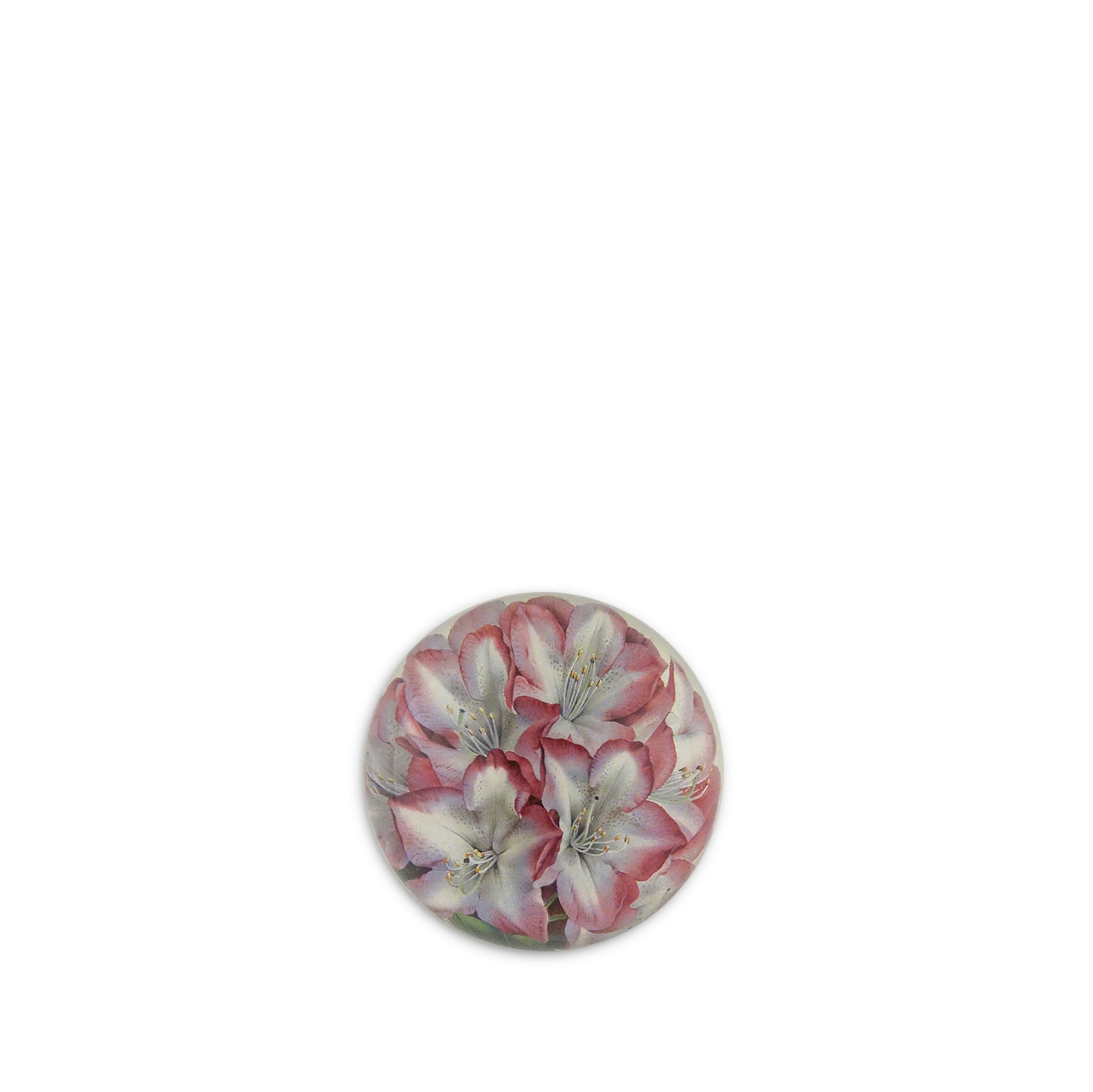 John Derian 'Rhododendron Princess of Wales' Dome Paperweight, 9cm
