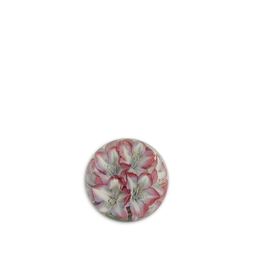 John Derian 'Rhododendron Princess of Wales' Dome Paperweight, 9cm