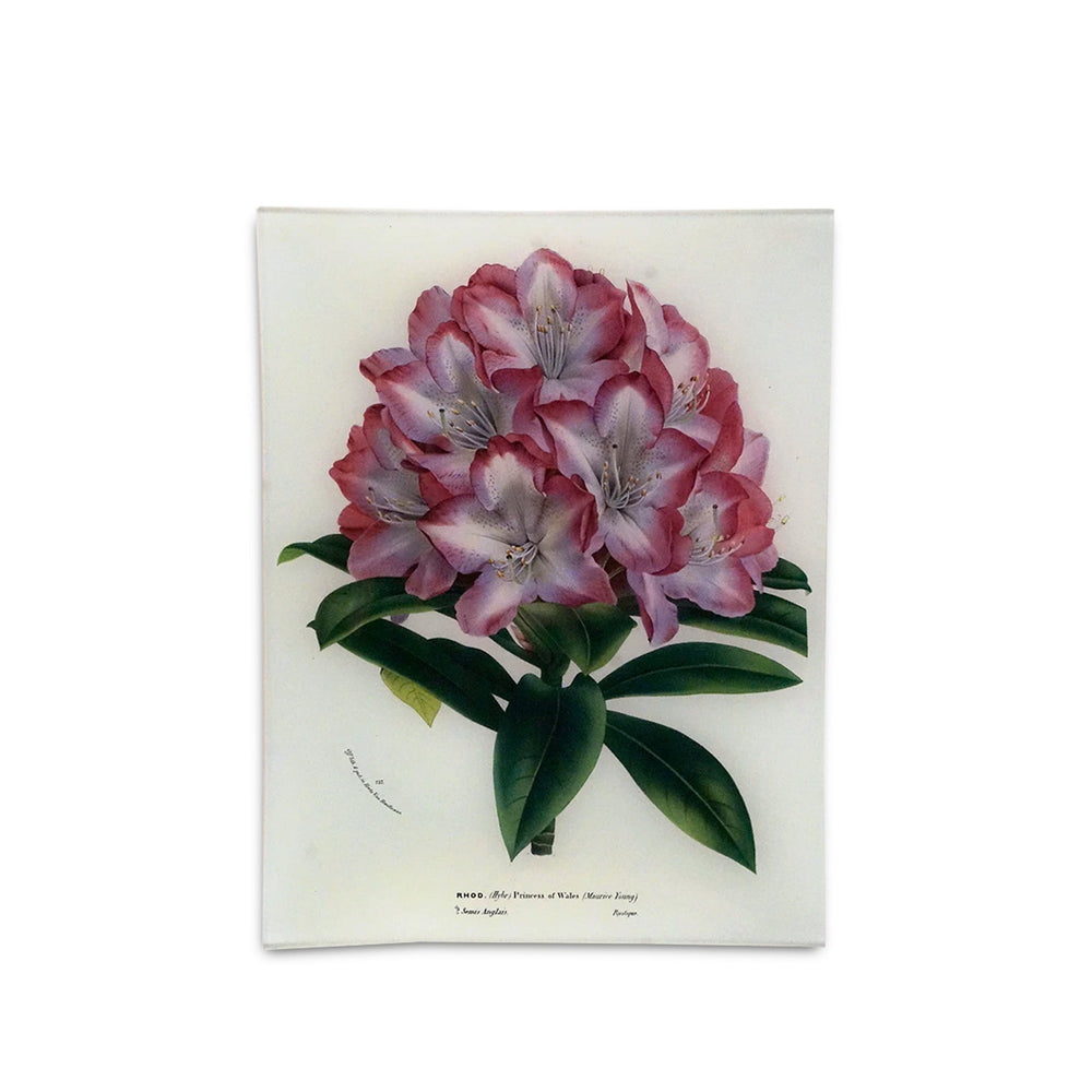 John Derian 'Rhododendron Princess of Wales' Rectangular Tray, 25 x 33cm