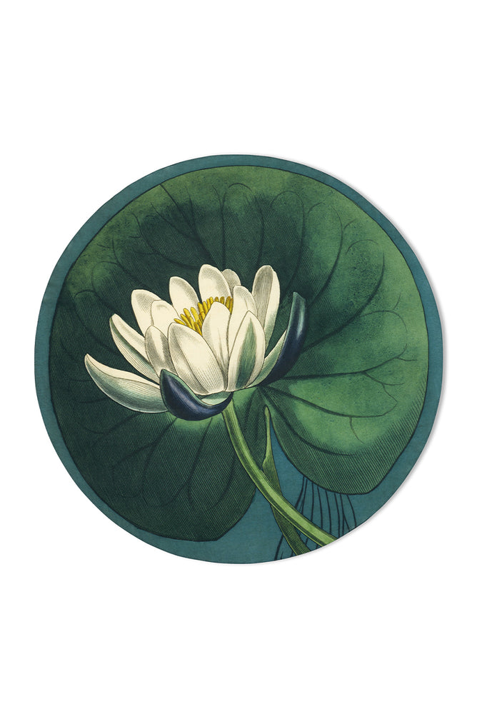S&B x John Derian 'Water Lily' Round Occasional Linen Tablecloth, 165cm