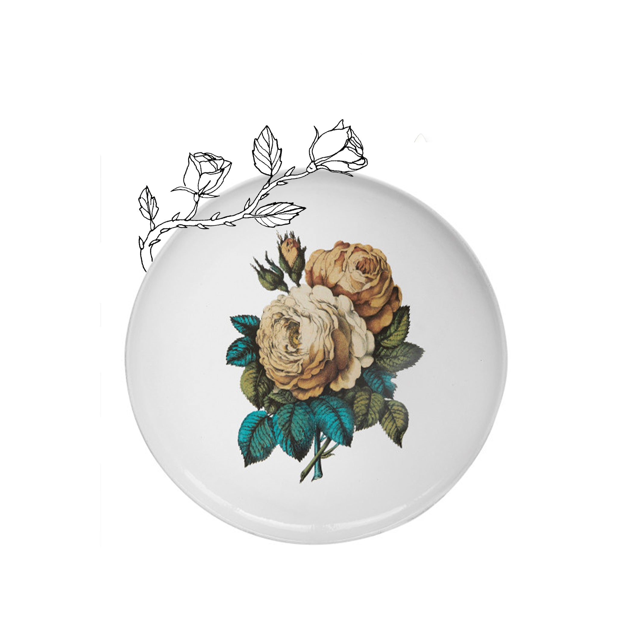 Astier de Villatte | Summerill & Bishop