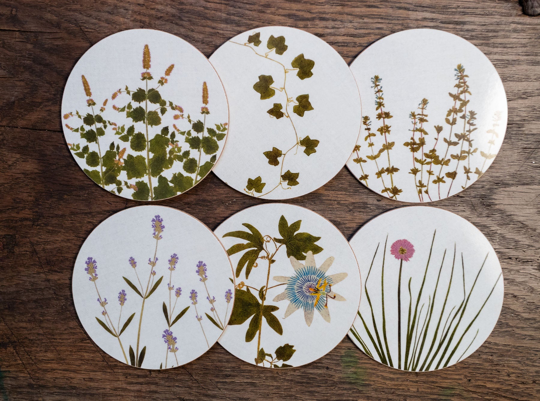Set of 6 Herbarium Cork-Backed Coasters