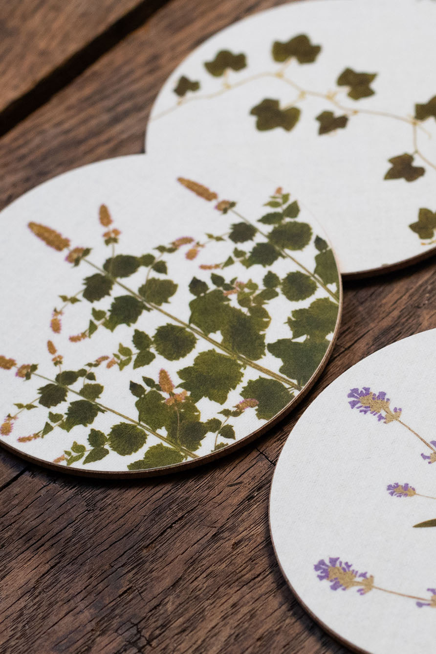 Set of 6 Herbarium Cork-Backed Coasters