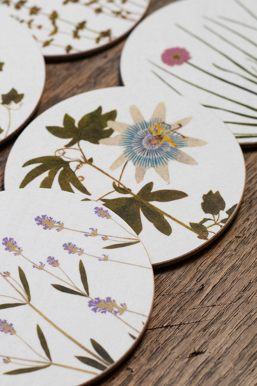 Set of 6 Herbarium Cork-Backed Coasters