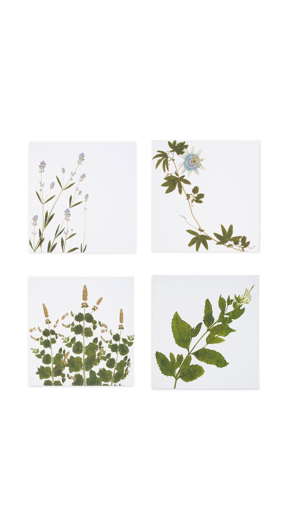 Set of Four S&B 'Tisane' Herb Napkins, 50x50cm