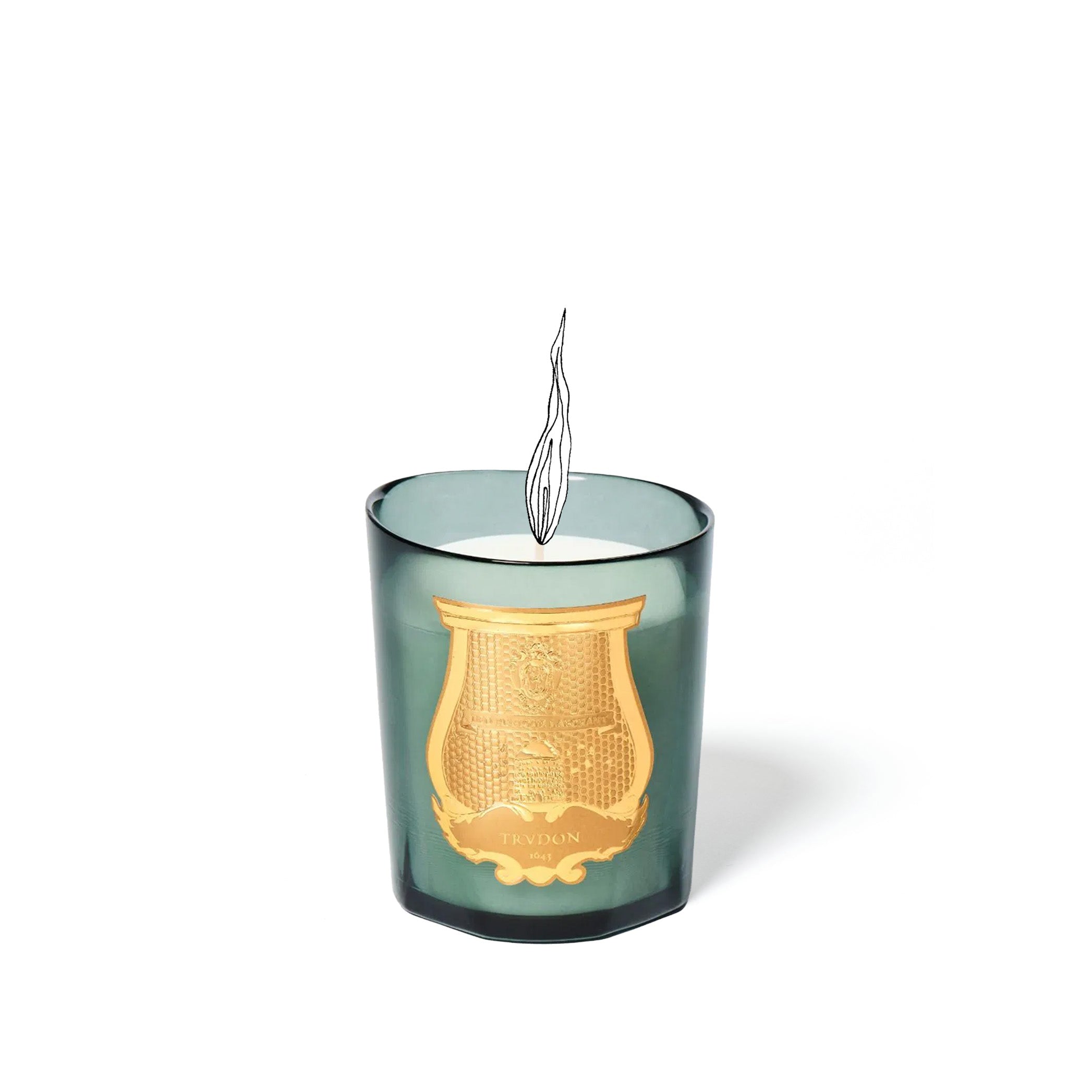 Special Edition Candle 'Figuerie' by Trudon, 270g