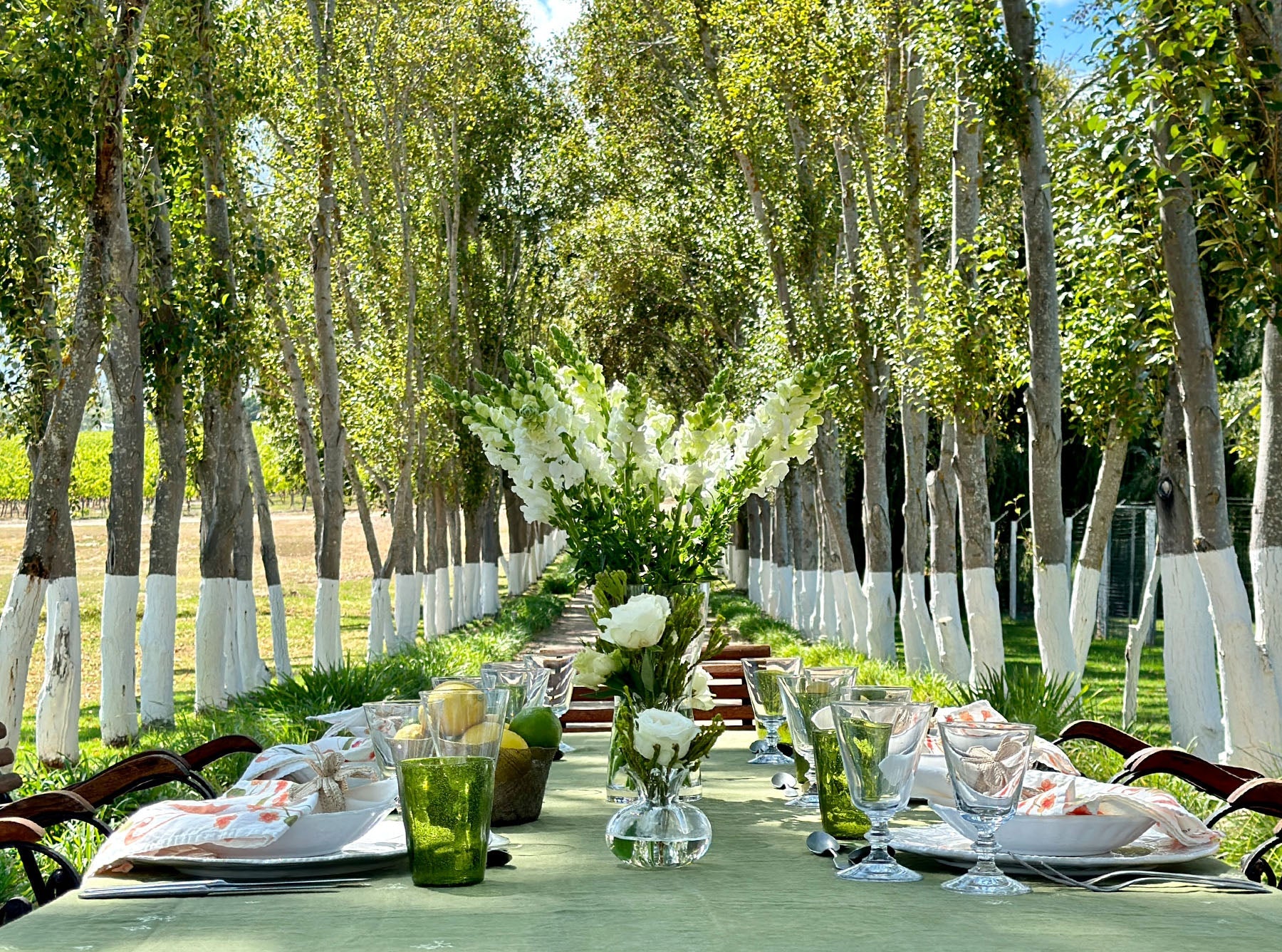 Summerill & Bishop Classic White Wine Glass, 19cl