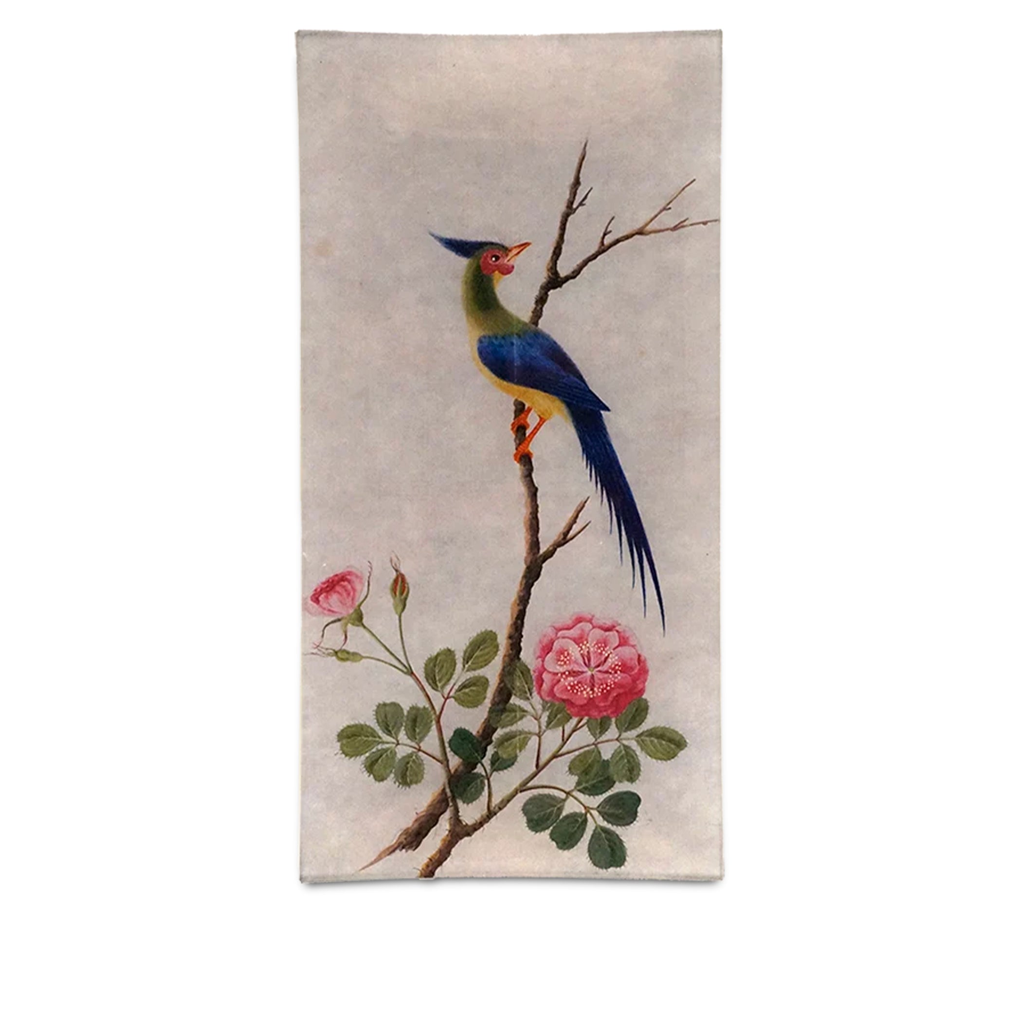 John Derian Tropical Rose Pencil Tray, 15 x 30cm