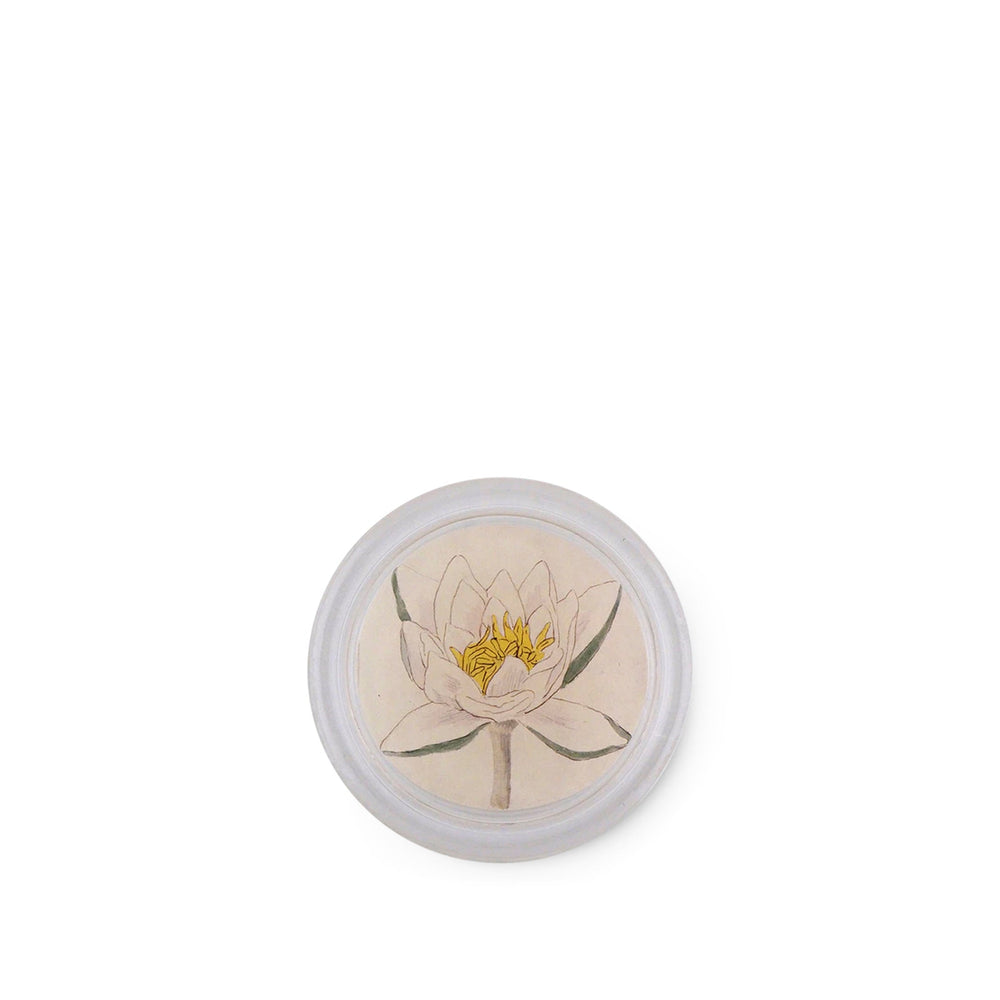 John Derian 'Water Lily' Coaster, 10cm