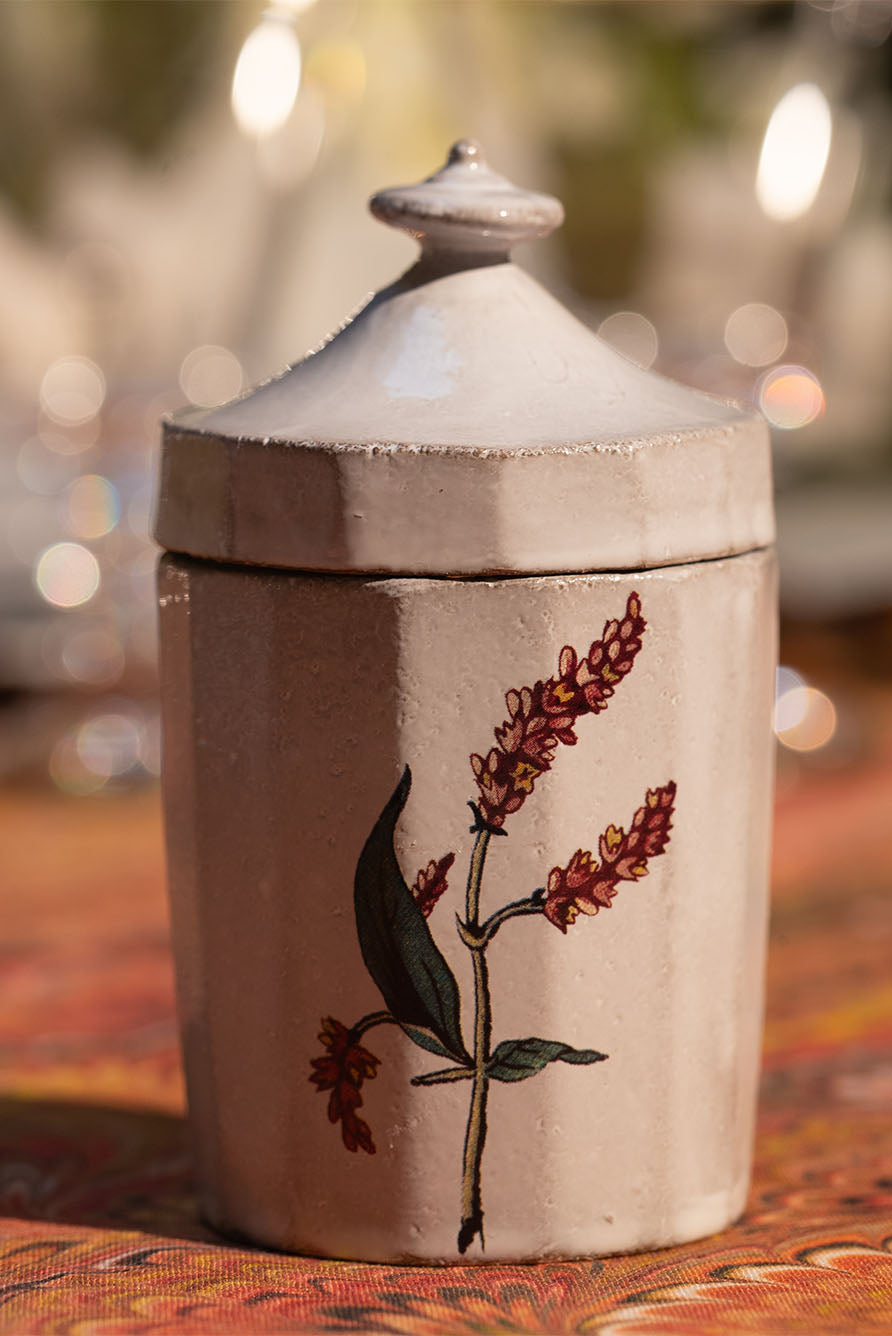 White Ceramic Ladies Thumb Sugar Pot by Astier de Villatte, 12cm