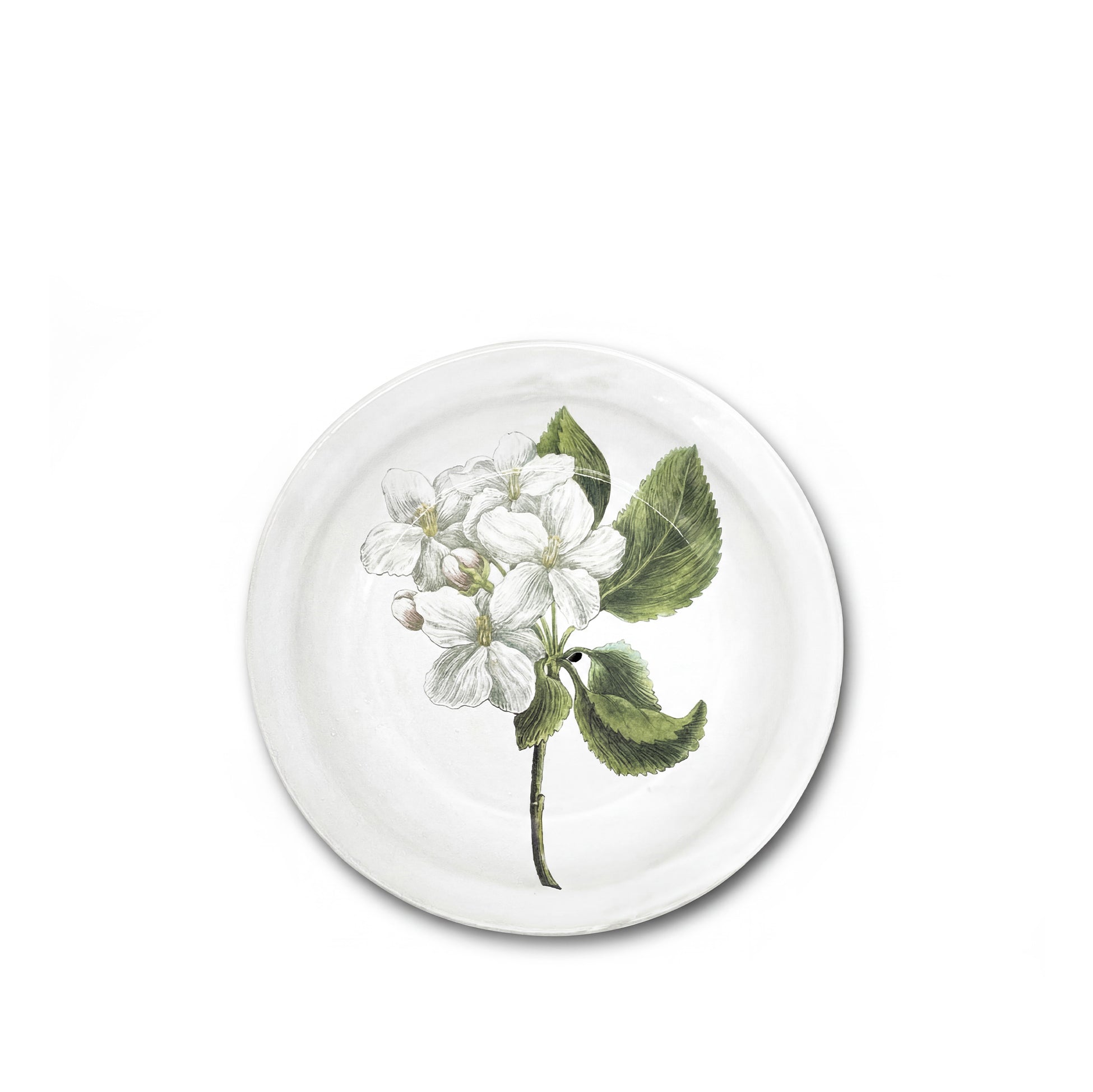 'Fleurs de Pommier Paradise' Plate by Astier de Villatte, 26cm