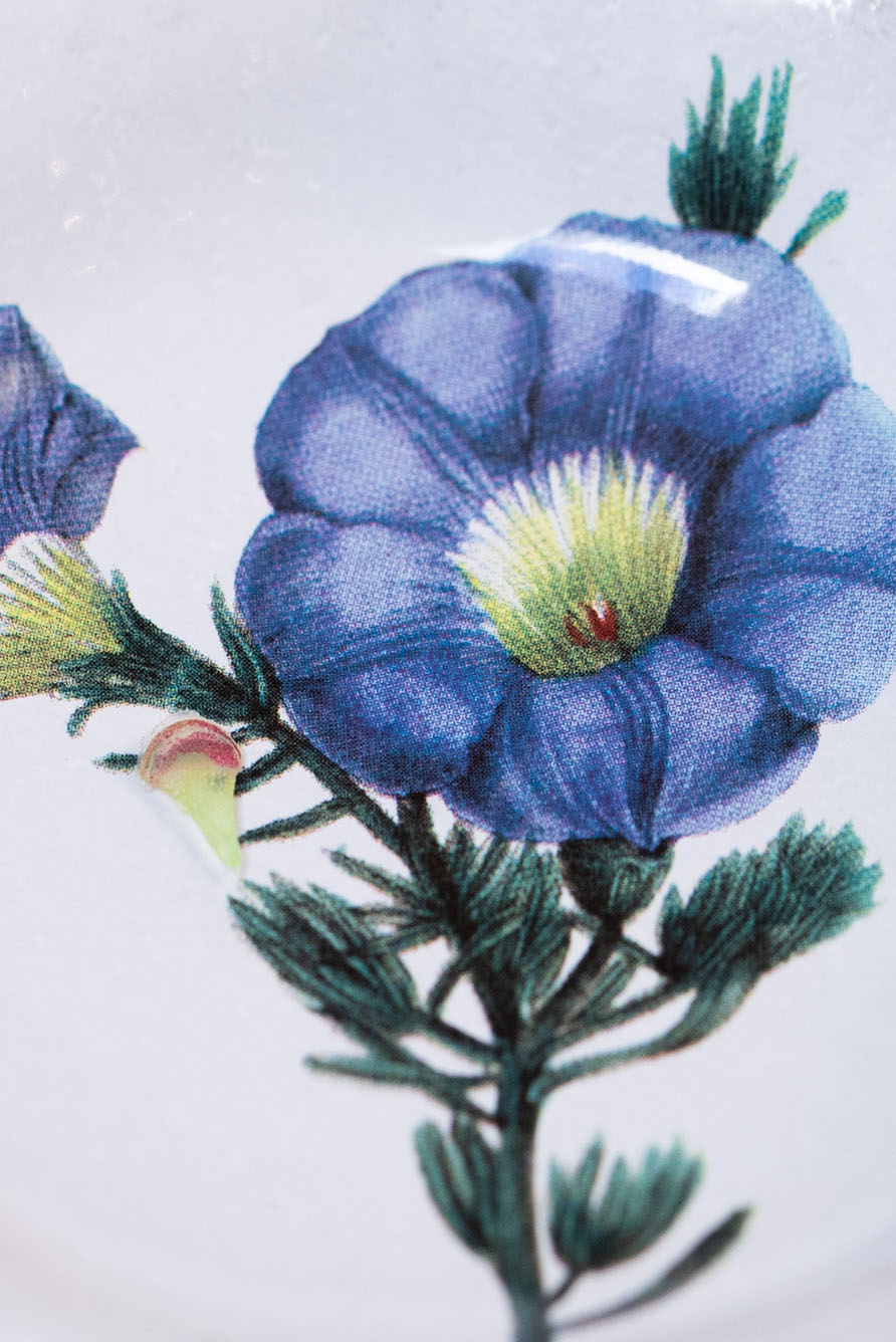 Campanule Blue Deep Saucer by Astier de Villatte, 11.5cm