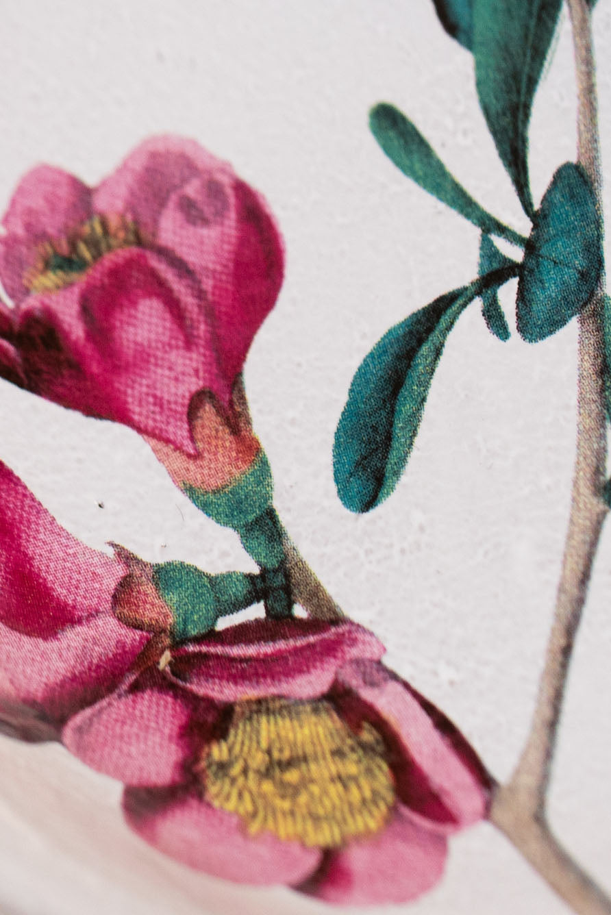 Cognassier Purple Deep Saucer by Astier de Villatte, 11.5cm