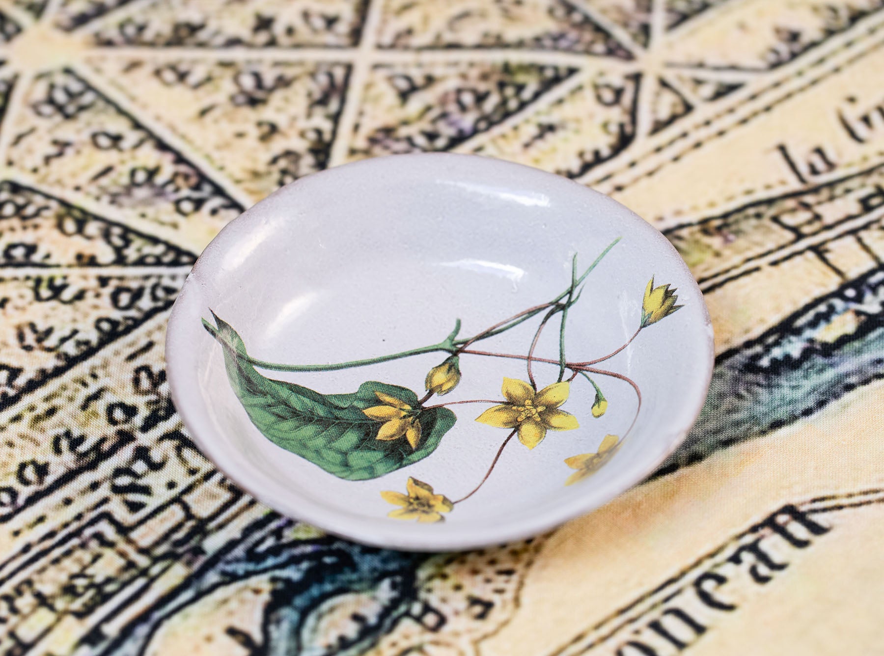 Tylophore Yellow Deep Saucer by Astier de Villatte, 11.5cm
