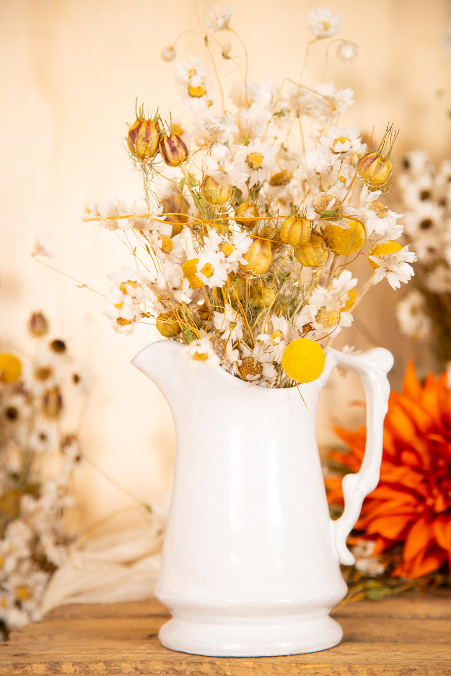 Ceramic Tom Pitcher by Astier de Villatte, 16.5cm