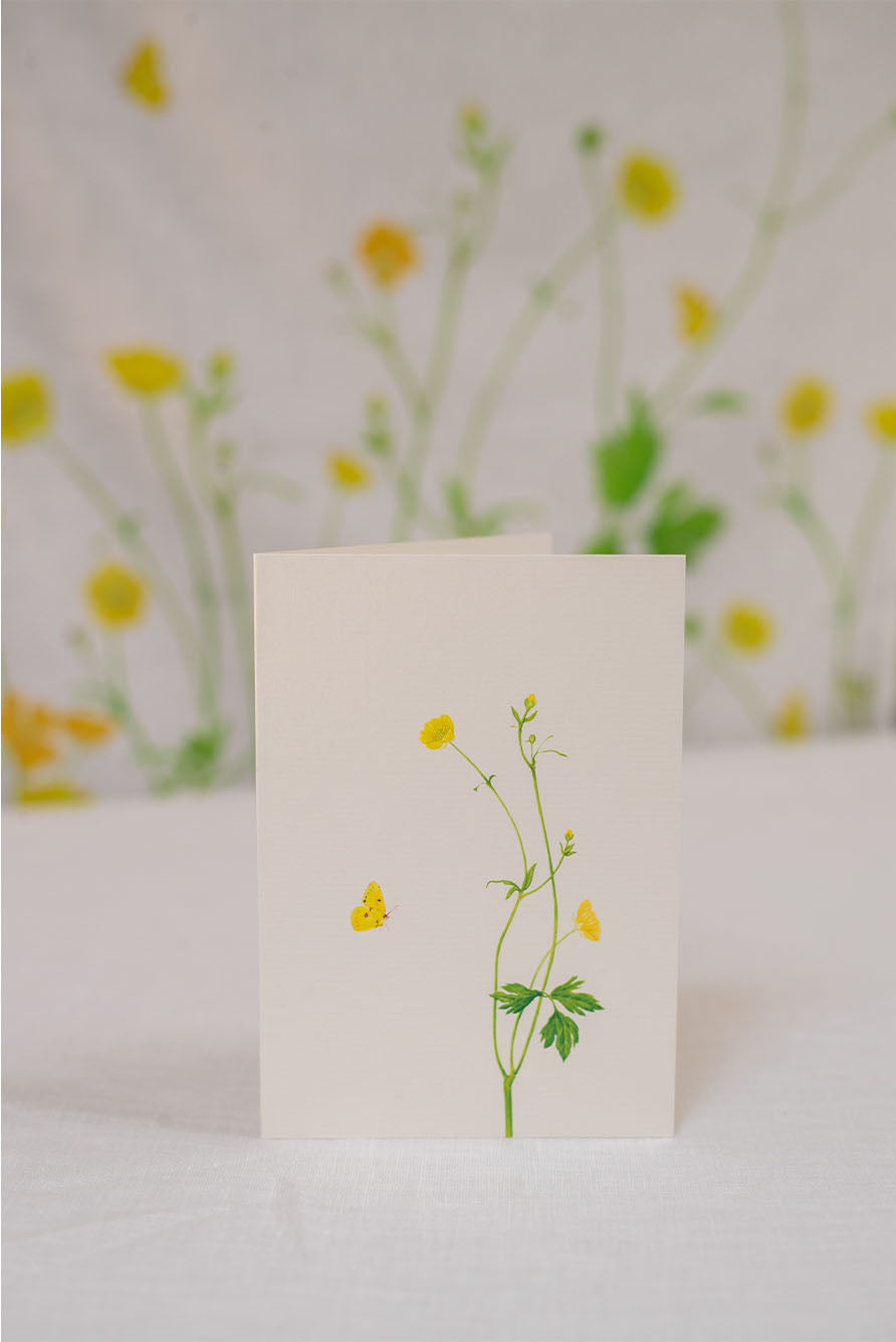 'Buttercup' Greeting Card, 15cm x 10cm (A6)