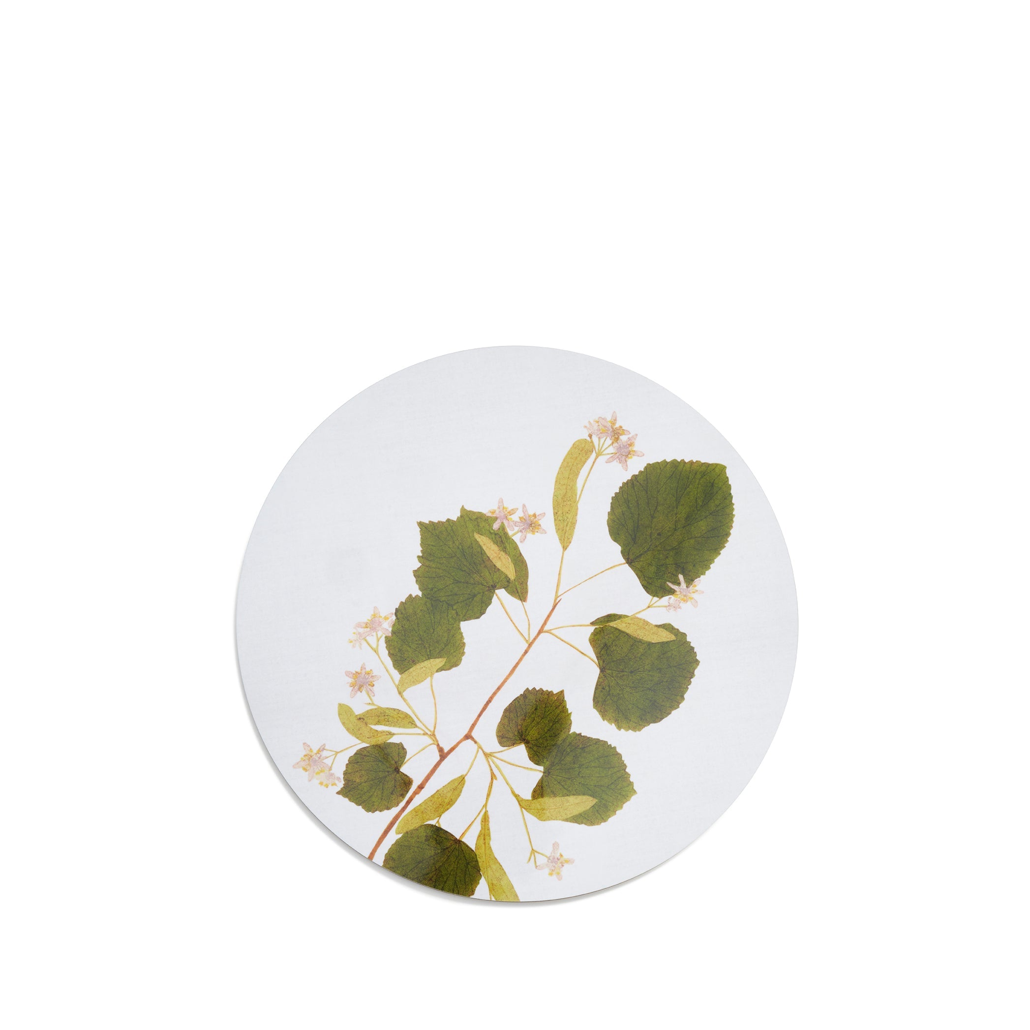 Herbarium Round Cork-backed Placemat in Limetree, 34cm