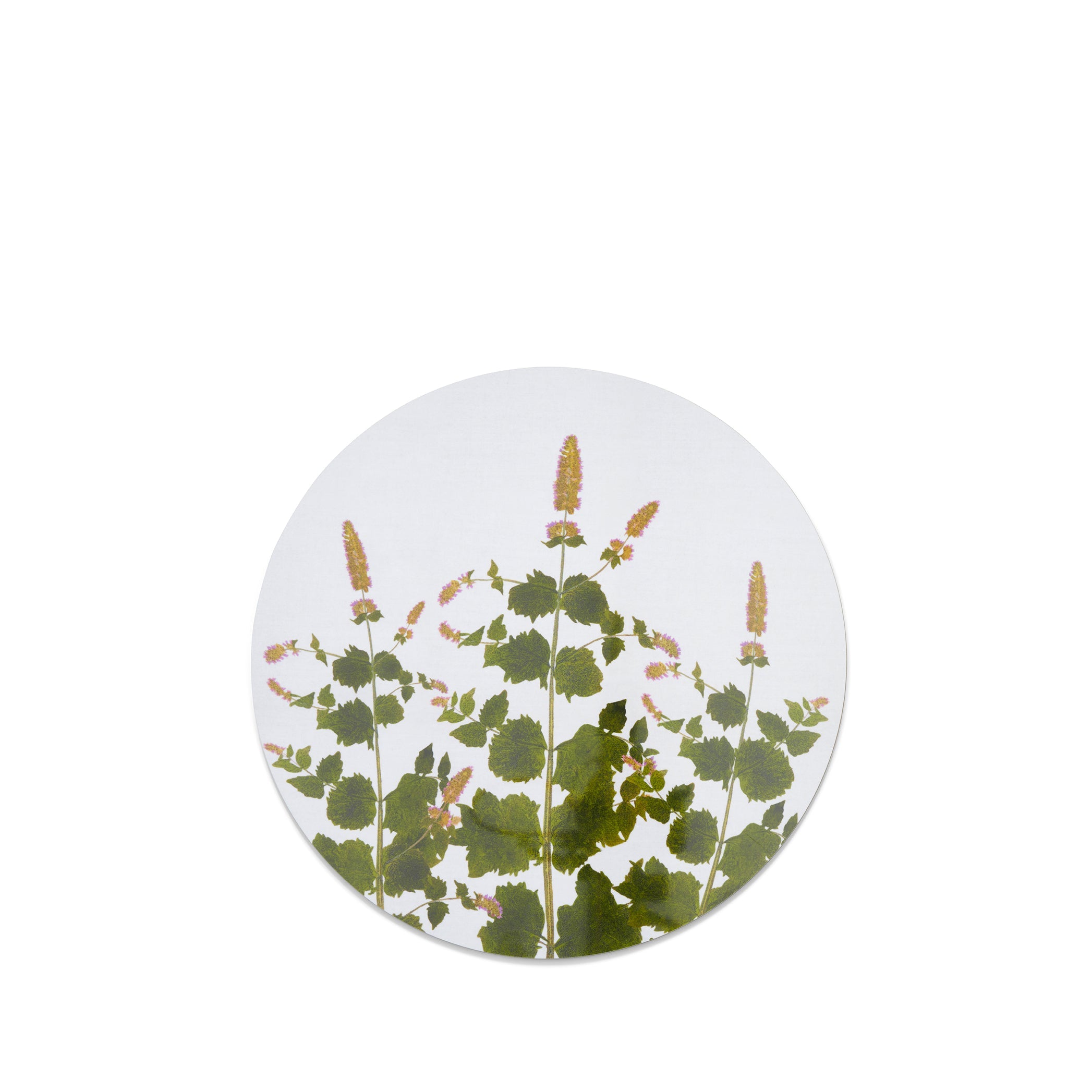 Herbarium Round Cork-backed Placemat in Mint, 34cm