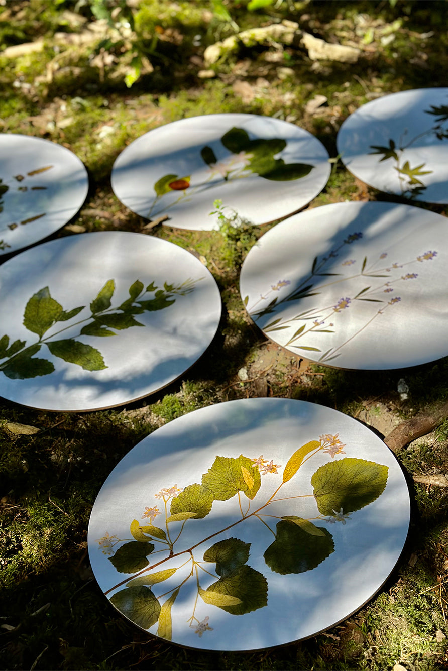 Herbarium Round Cork-backed Placemat in Lavender, 34cm