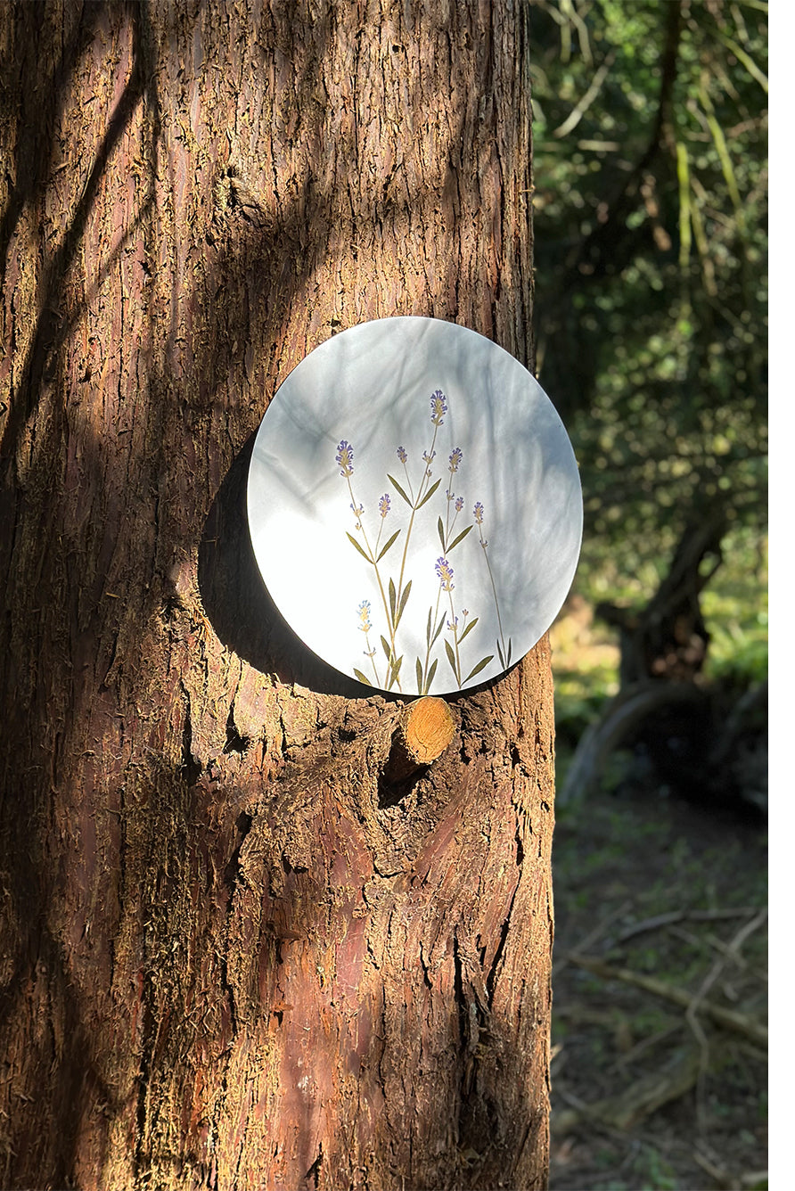 Herbarium Round Cork-backed Placemat in Lavender, 34cm