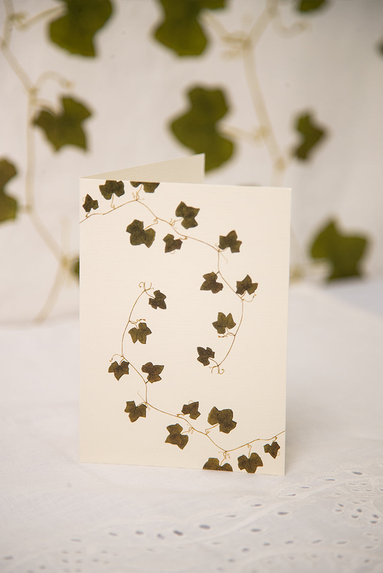 'Ivy' Greeting Card, 15cm x 10cm (A6)