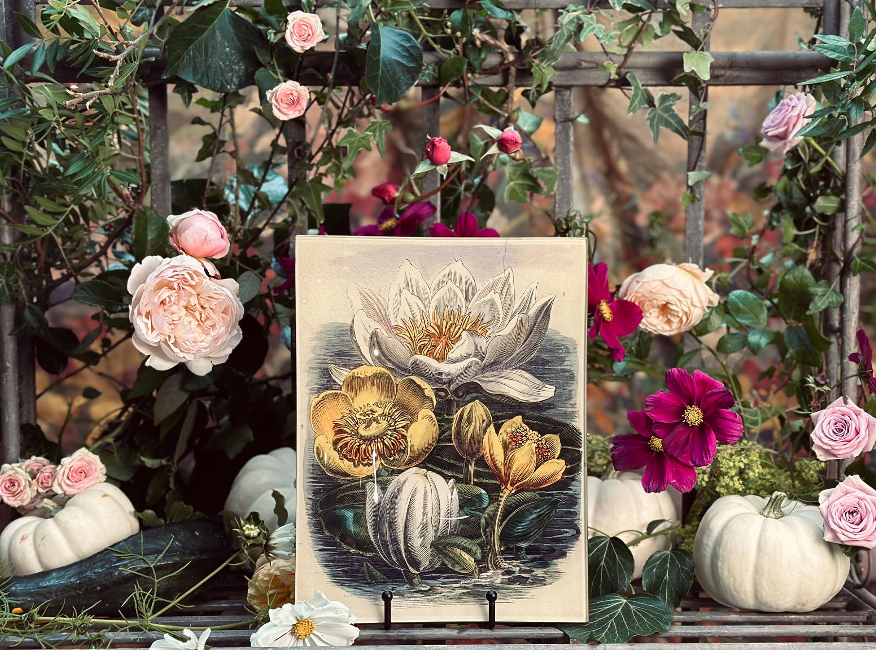 John Derian 'Water Lilies on Water' Rectangular Tray, 20x27cm