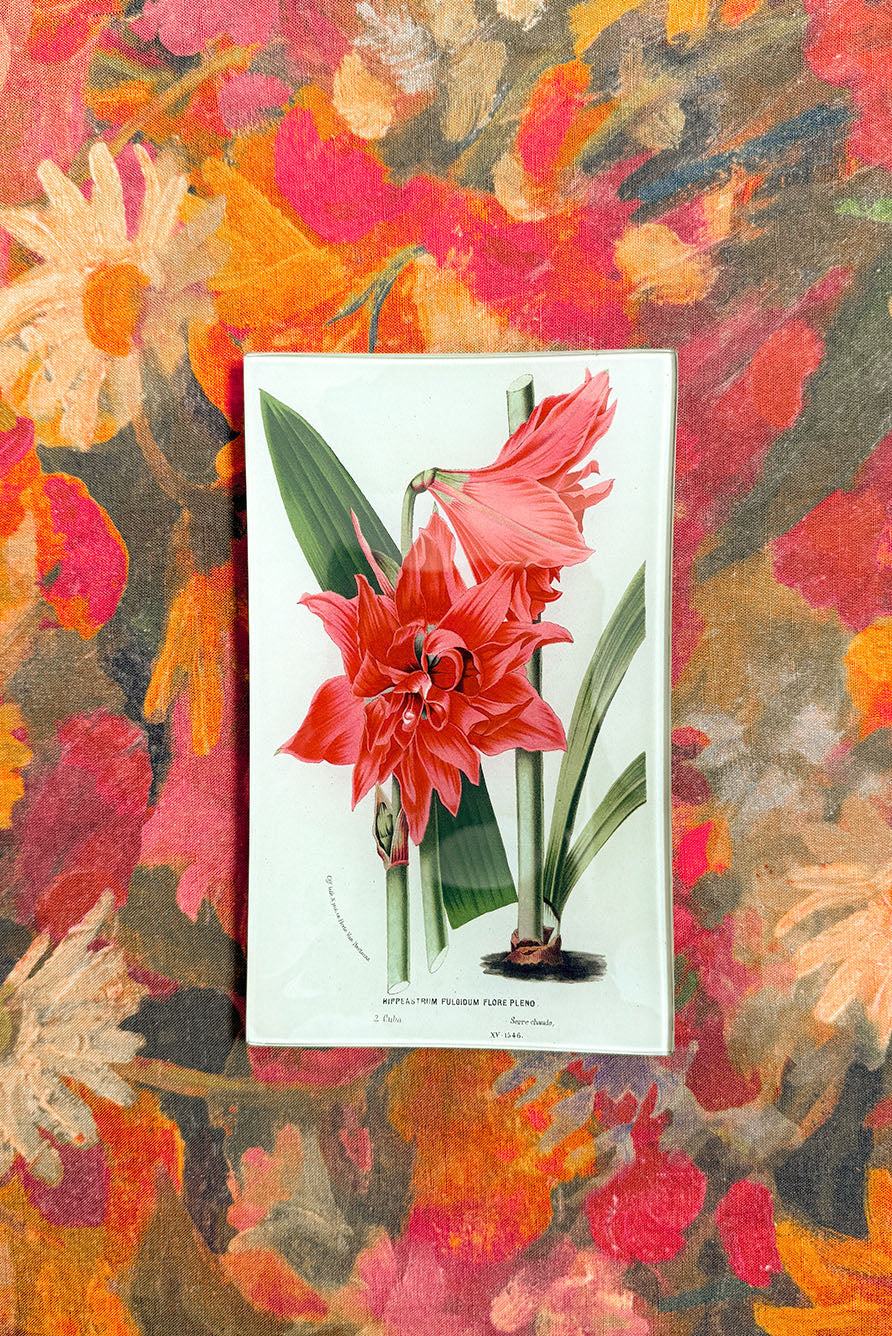 John Derian 'Hippeastrum Orange' Rectangular Tray, 13 x 20cm
