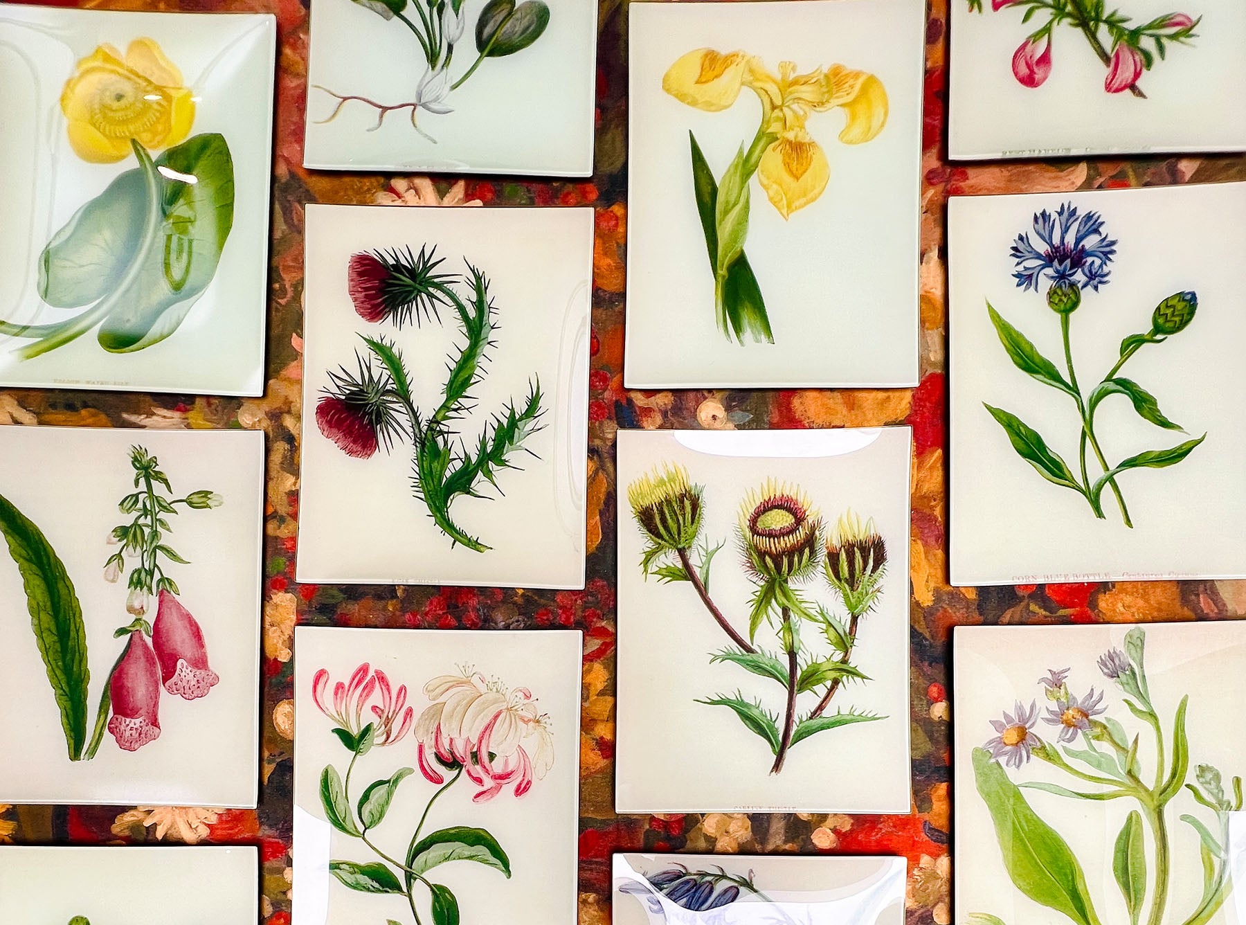 John Derian 'Rhododendron Princess of Wales' Oval Tray, 33 x 45.5cm