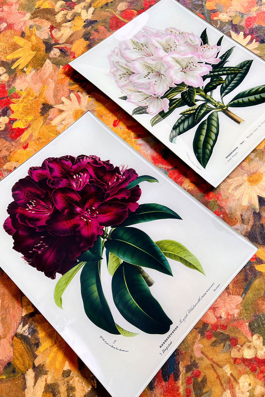 John Derian 'Rhododendron Ange Vervaet' Rectangular Tray, 25 x 33cm