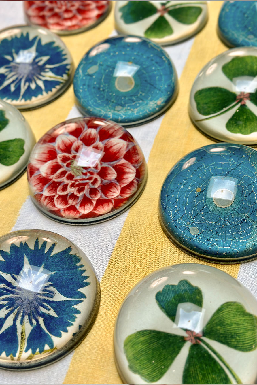 John Derian 'Deep Blue Cornflower' Paperweight, 9cm