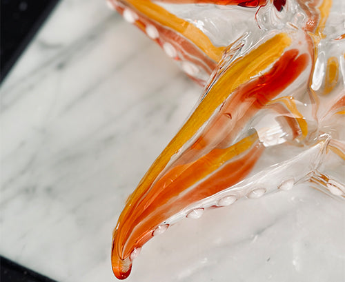 Handblown Glass Starfish Decanter, 24cm