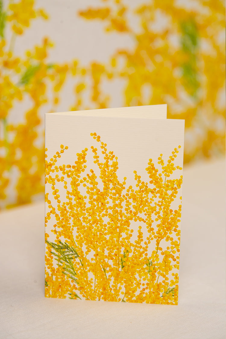 'Mimosa' Greeting Card, 15cm x 10cm (A6)