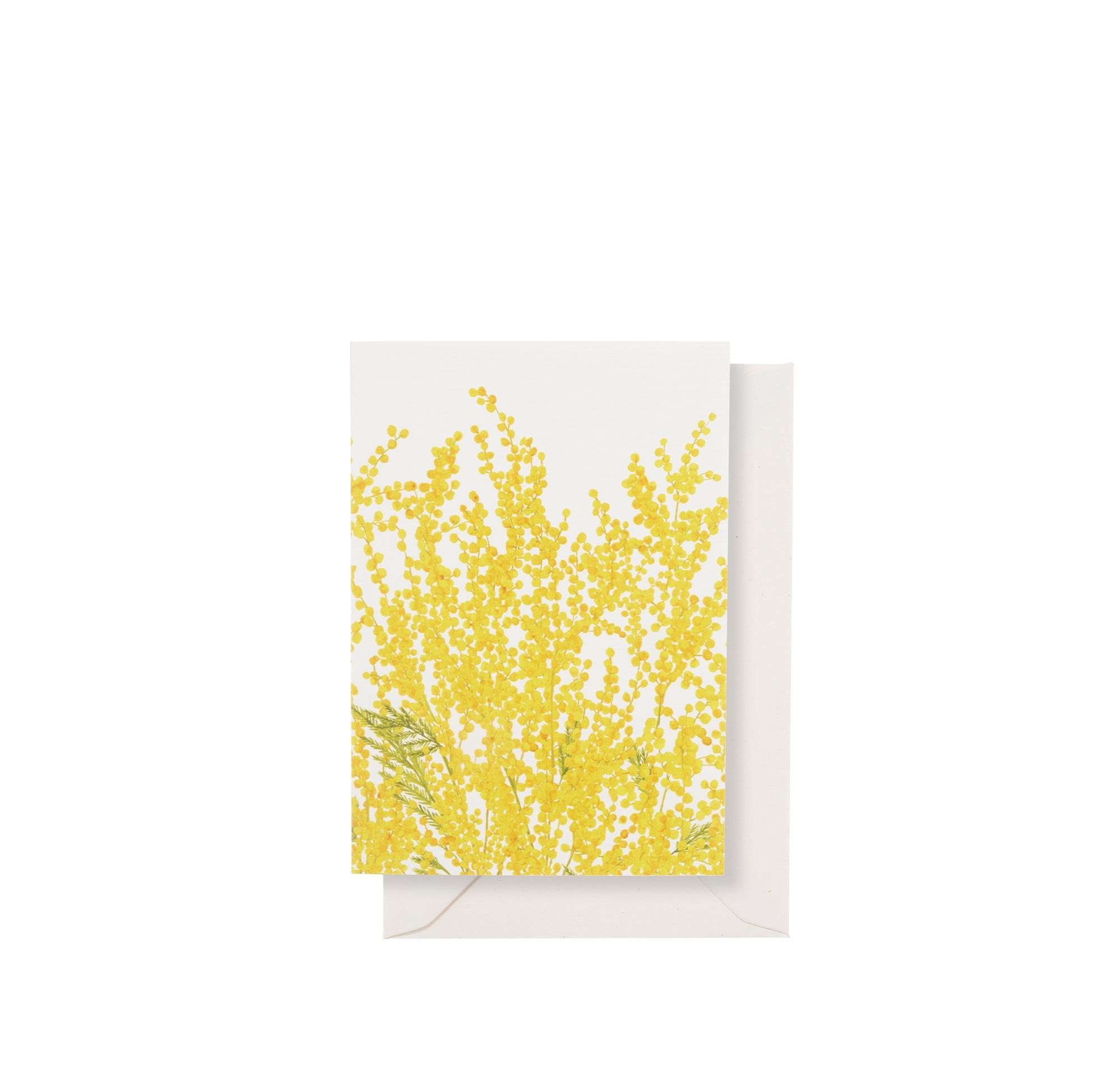 'Mimosa' Greeting Card, 15cm x 10cm (A6)