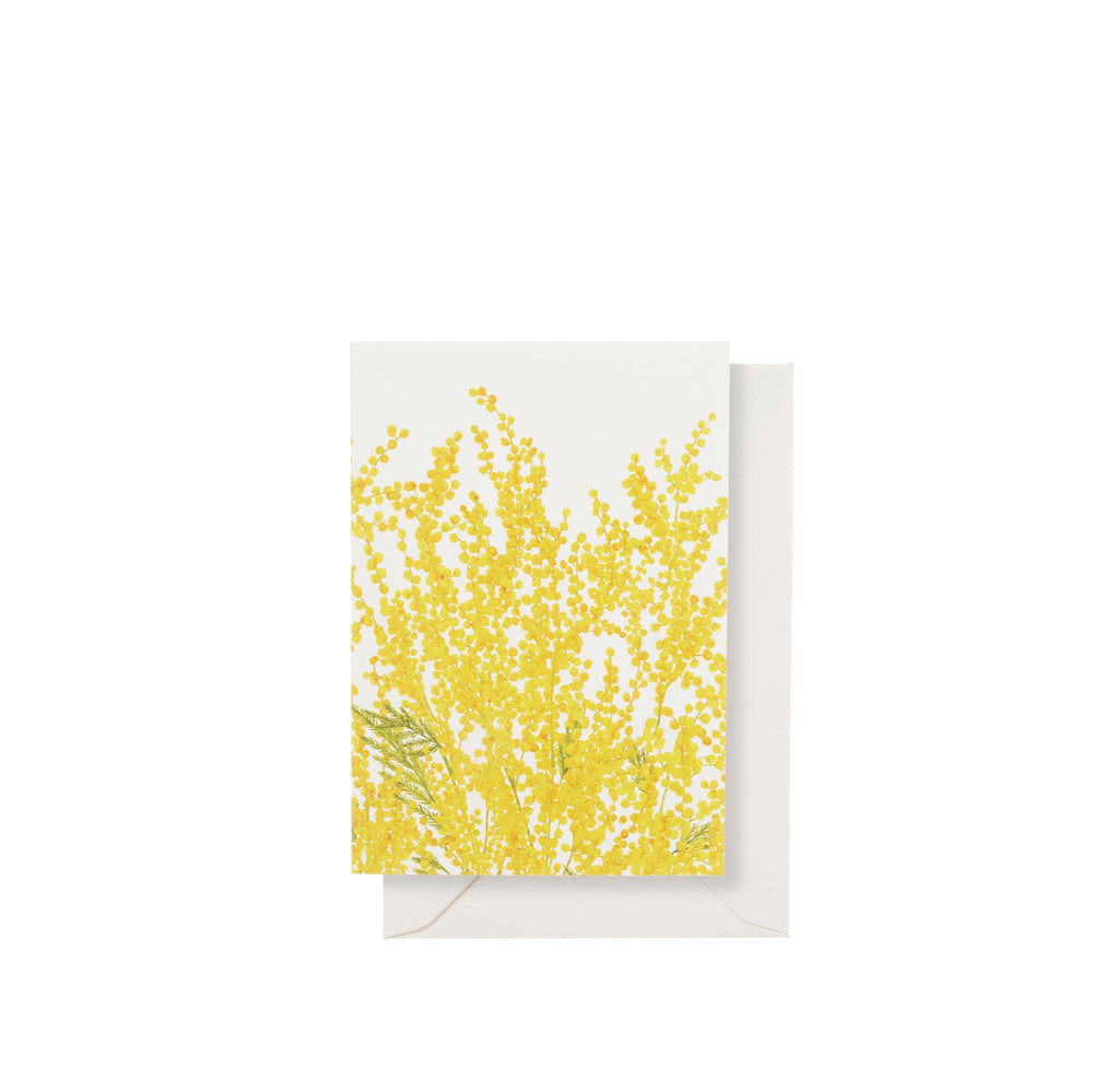 'Mimosa' Greeting Card, 15cm x 10cm (A6)