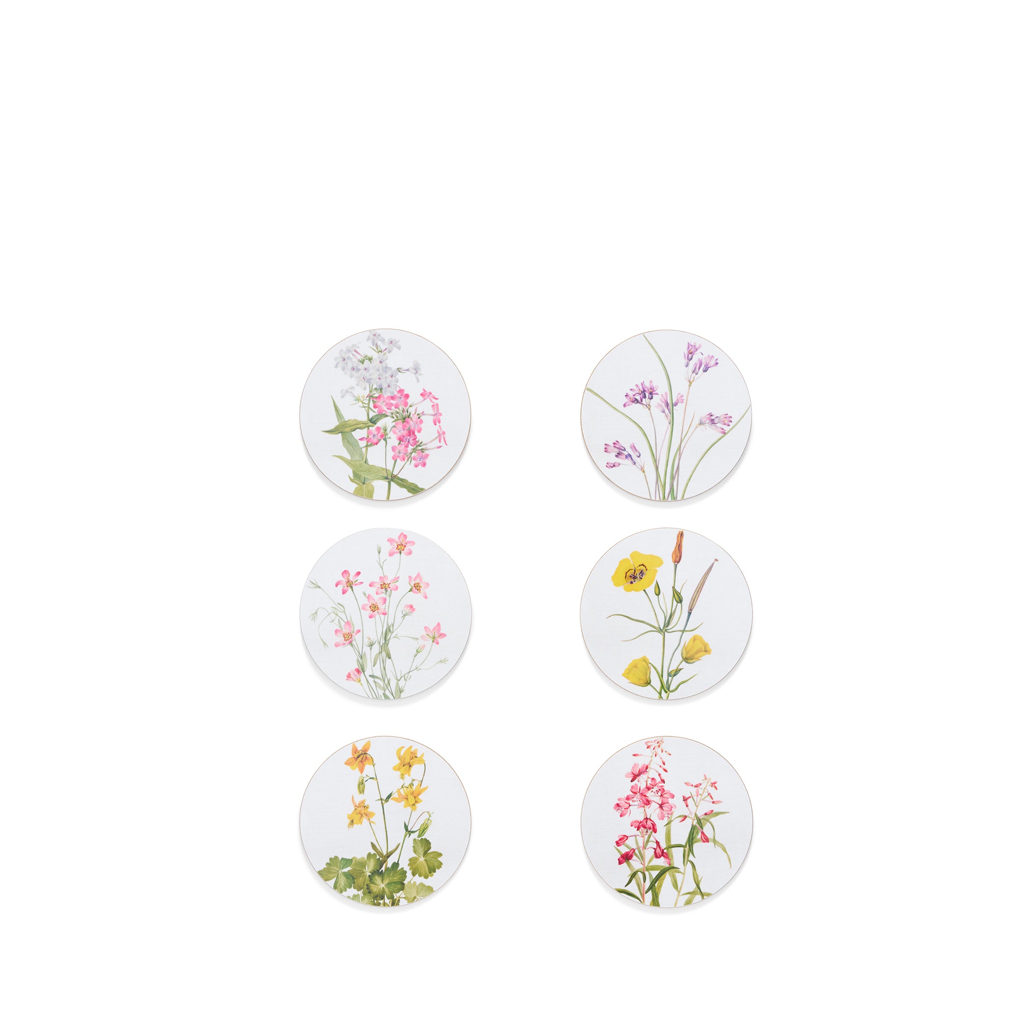 Set of 6 'Our June' Floral Cork-Backed Coasters