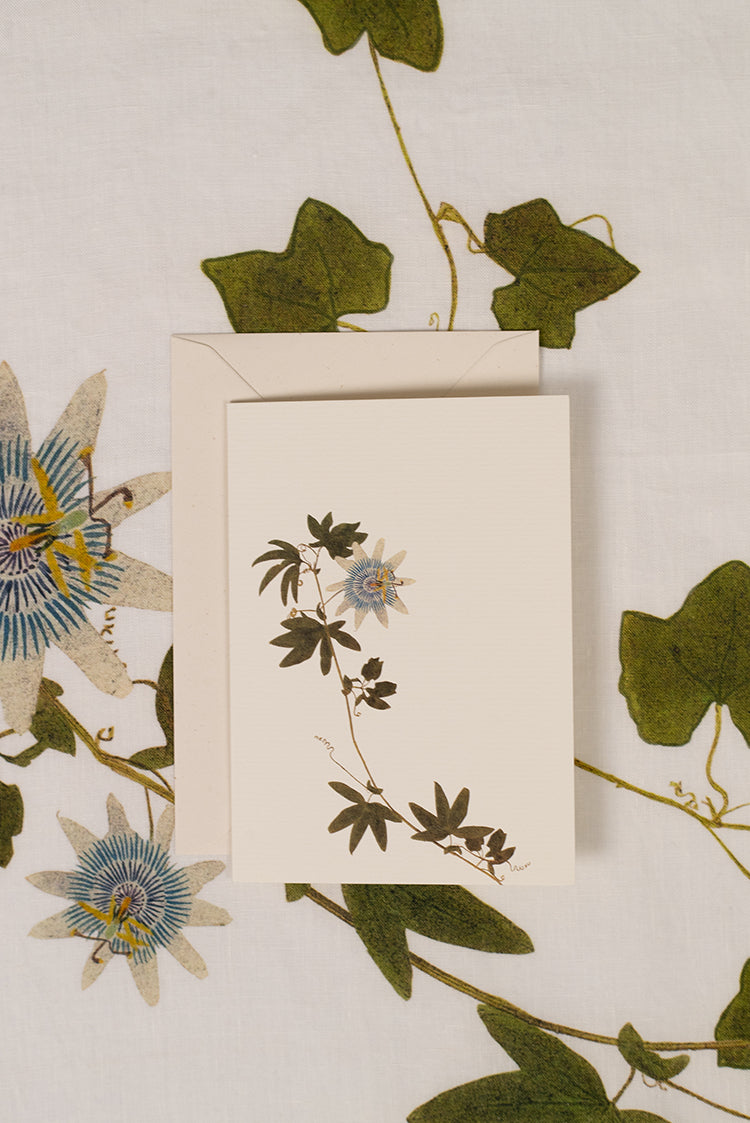 'Passiflora' Greeting Card, 15cm x 10cm (A6)