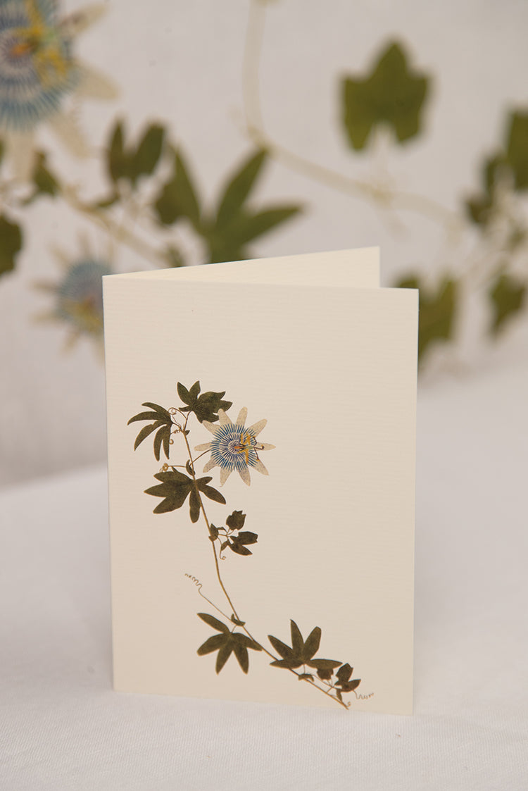 'Passiflora' Greeting Card, 15cm x 10cm (A6)
